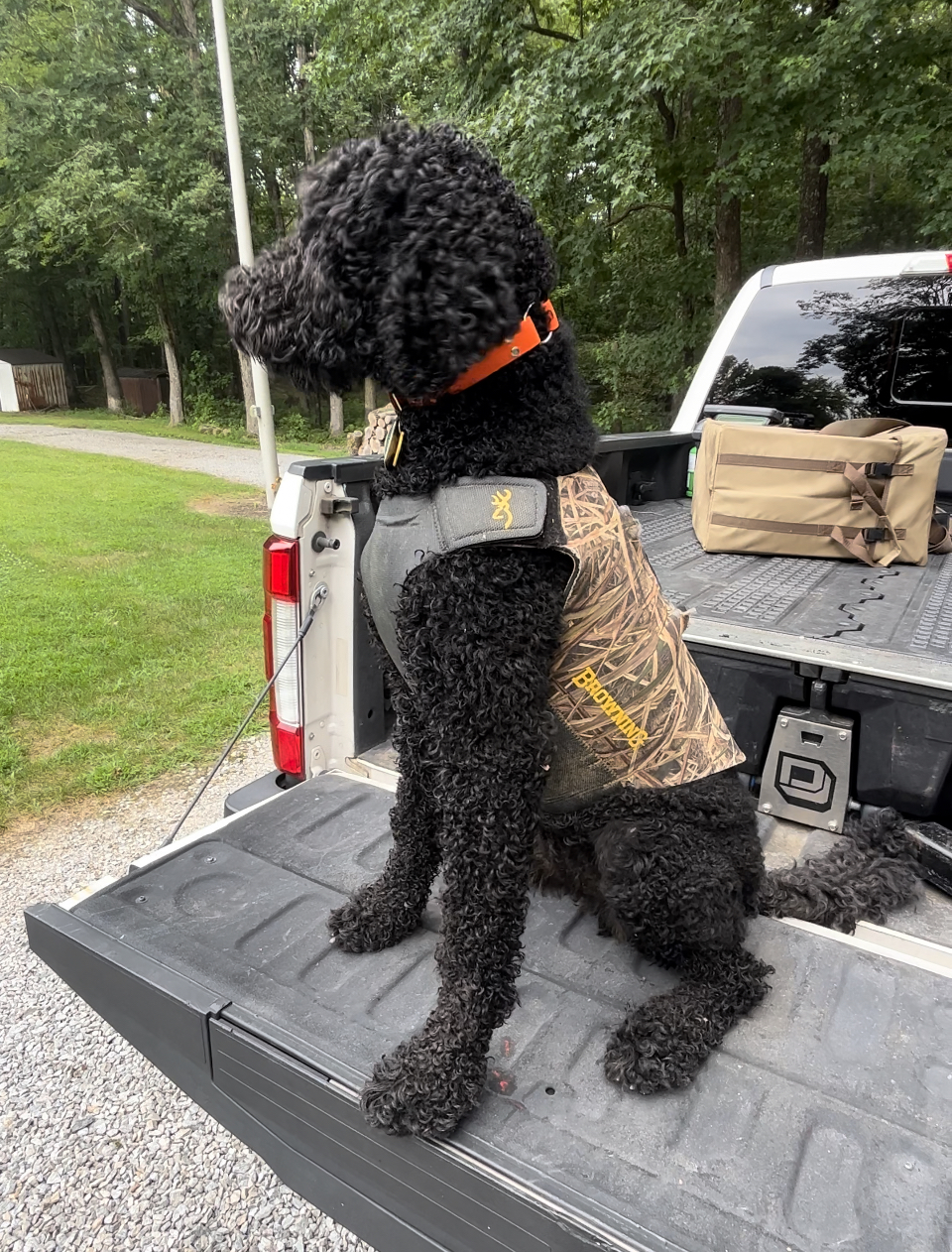 Waterfowl Dog Vest Browning Camo Neoprene Dog Vest Cabela's Dog