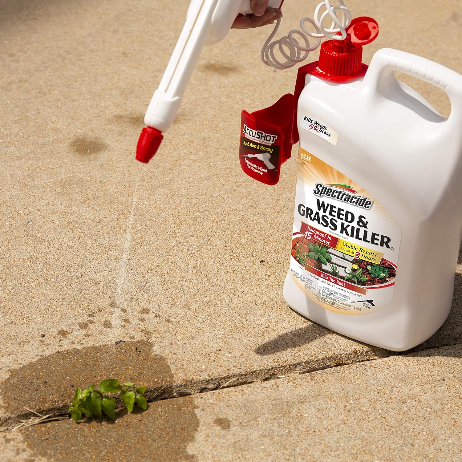 Buy Spectracide Weed Grass Killer2 Accushot Sprayer 1 33 Gallon Online In Poland B00sy3p9cy