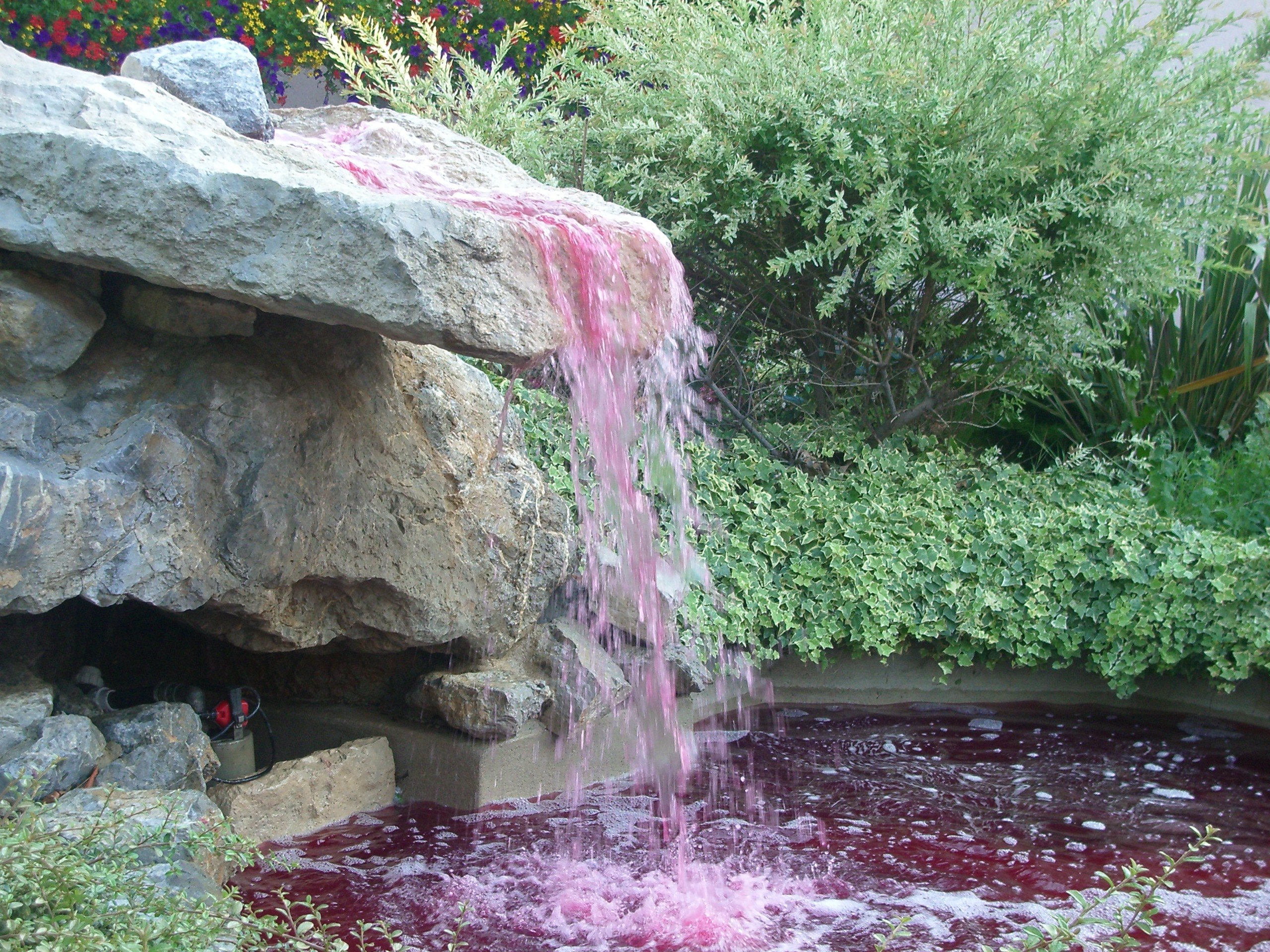 Colorant éphémère pour piscine Aquacouleur Lavande