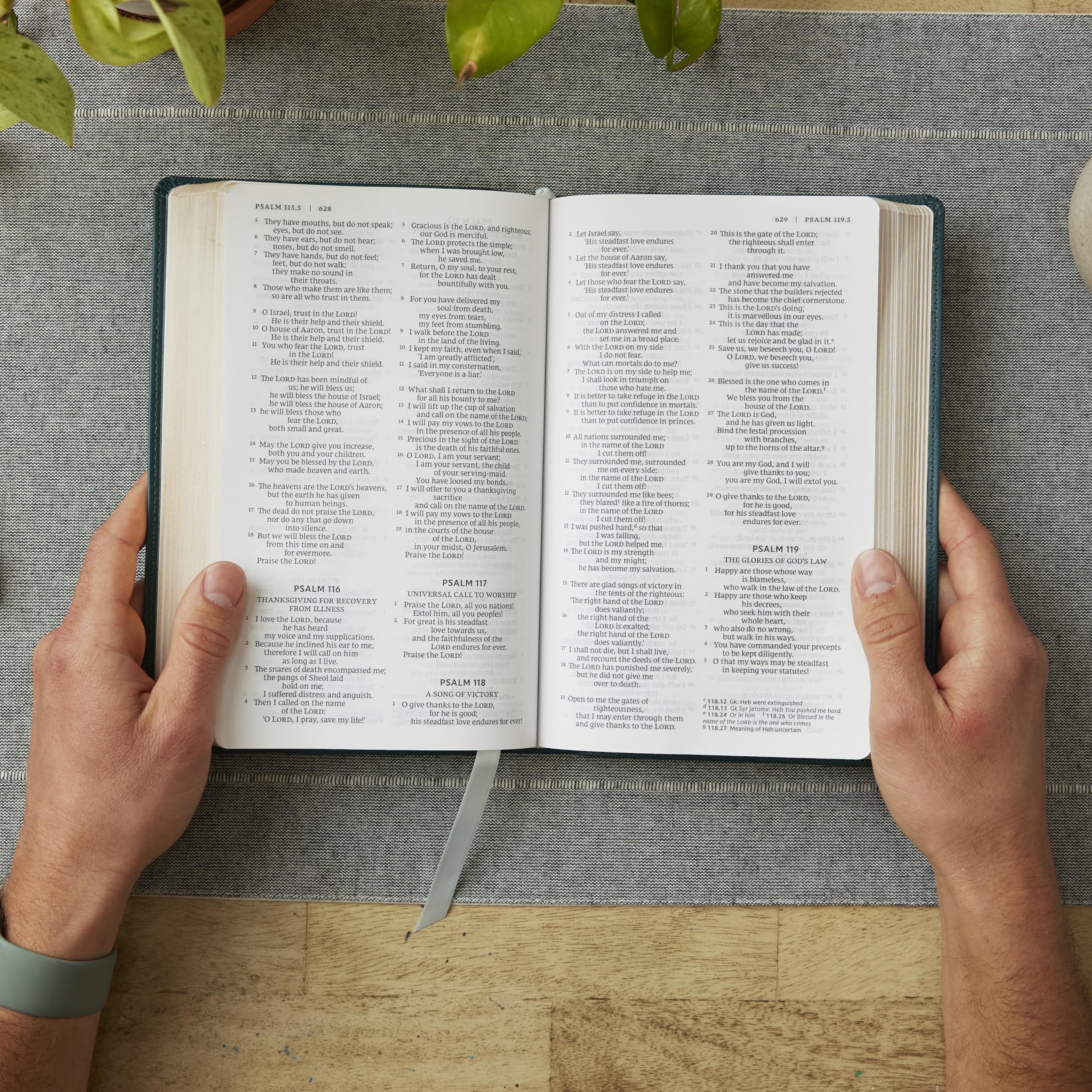 Holy Bible: New Revised Standard Version, Catholic Bible, Standard Personal Size, Red, Leathersoft, Comfort Print