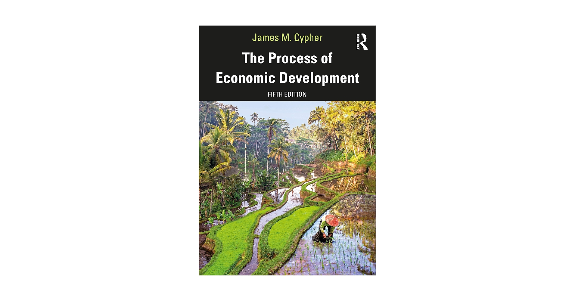 The Process of Economic Development: 9780367256821: Economics
