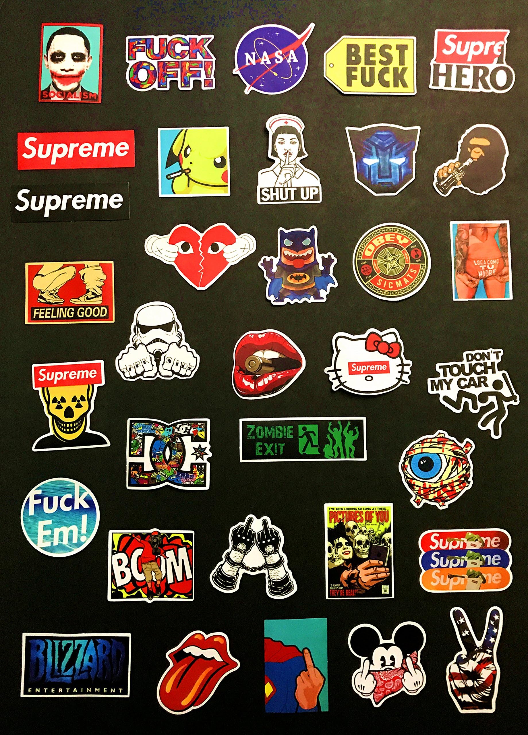 Lots of 100pcs SKI Snowboard Skateboard Surf Suitcase Vinyl Sticker Logo Decal