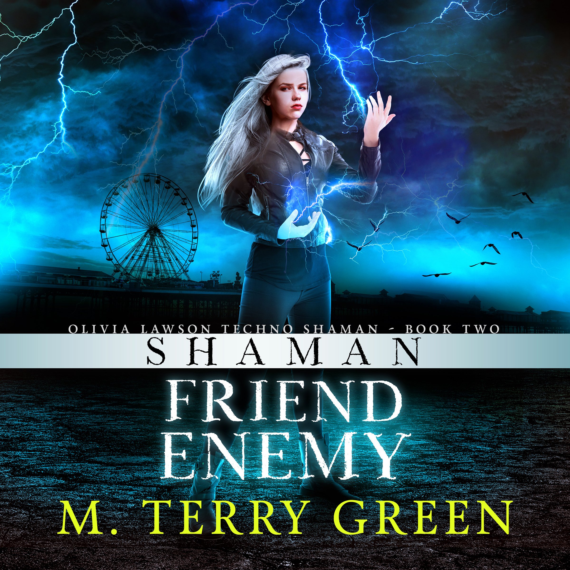 Cover art for Shaman, Friend, Enemy