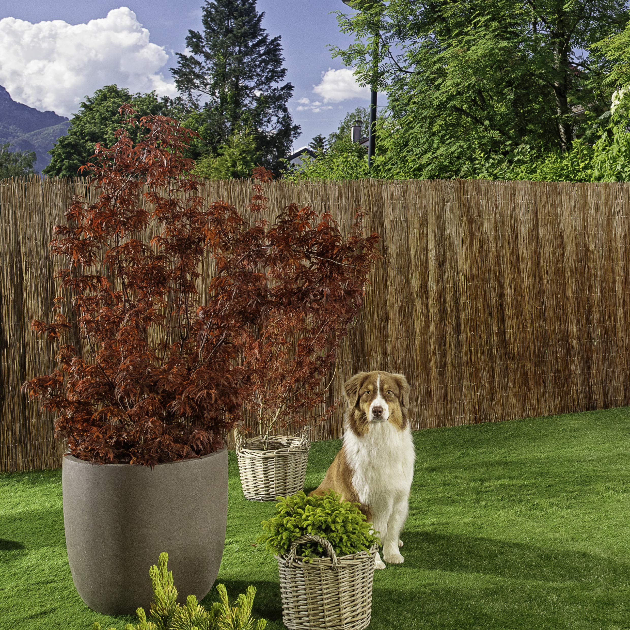 Amazon.de: Windhager Sichtschutzmatte Inaka, Zaunmatte, Sichtschutz-Zaun  aus naturbelassener Farn, Blickschutz fr Garten, Balkon und Terrasse, 90 x  ...
