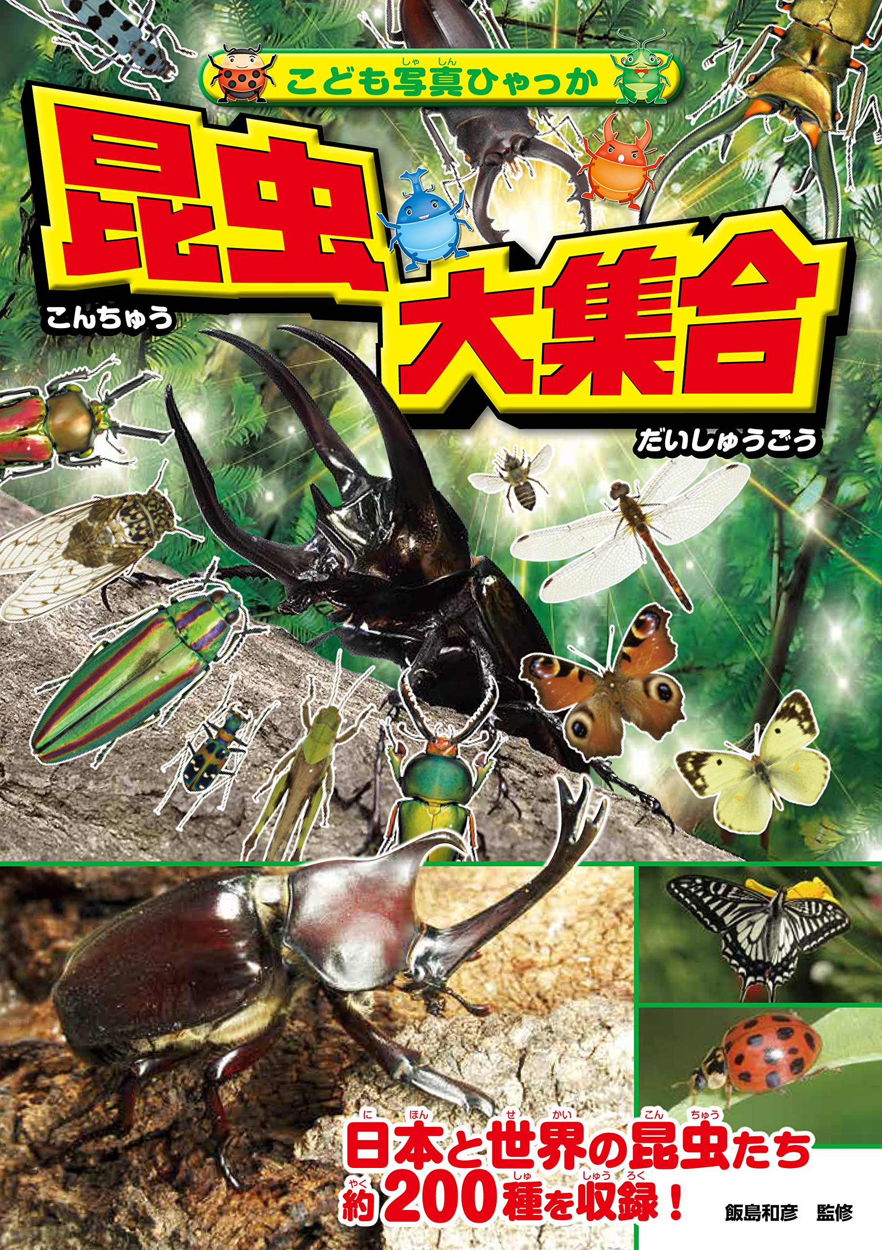 ジュニア写真動物集　30冊　コンプリートセット　つりキチ　カバー美品　25冊初版 Amazon.co.jp: Colaxi 53x ミニ動物フィギュア動物園動物プレイセット