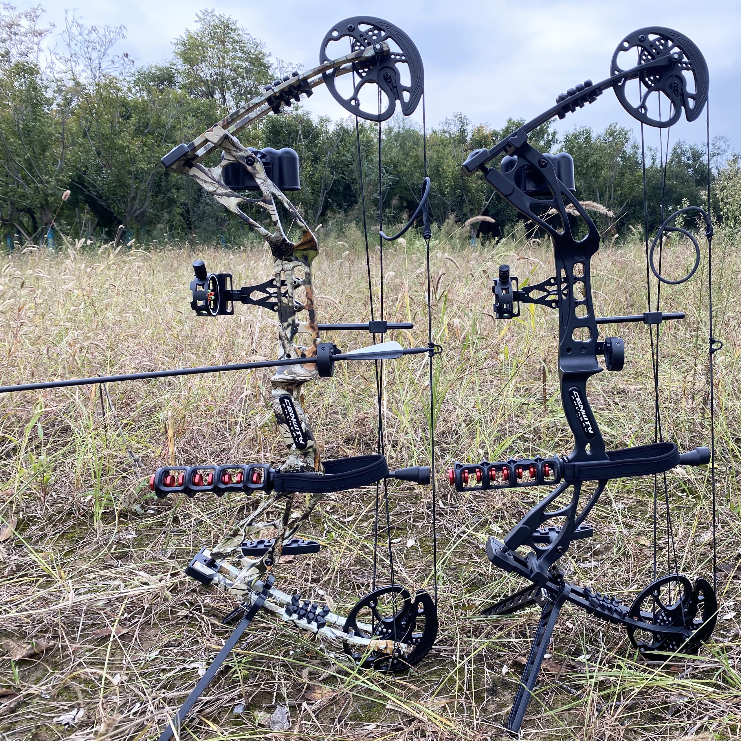 Arco Compound Set PRO Adulto 0-70 LBS Arco da Caccia e Pesca con L'Arco Freccia e Arco Composto Set Arco per Tiro con L'Arco Caccia Bersaglio Pratica Mancini Destrorsi