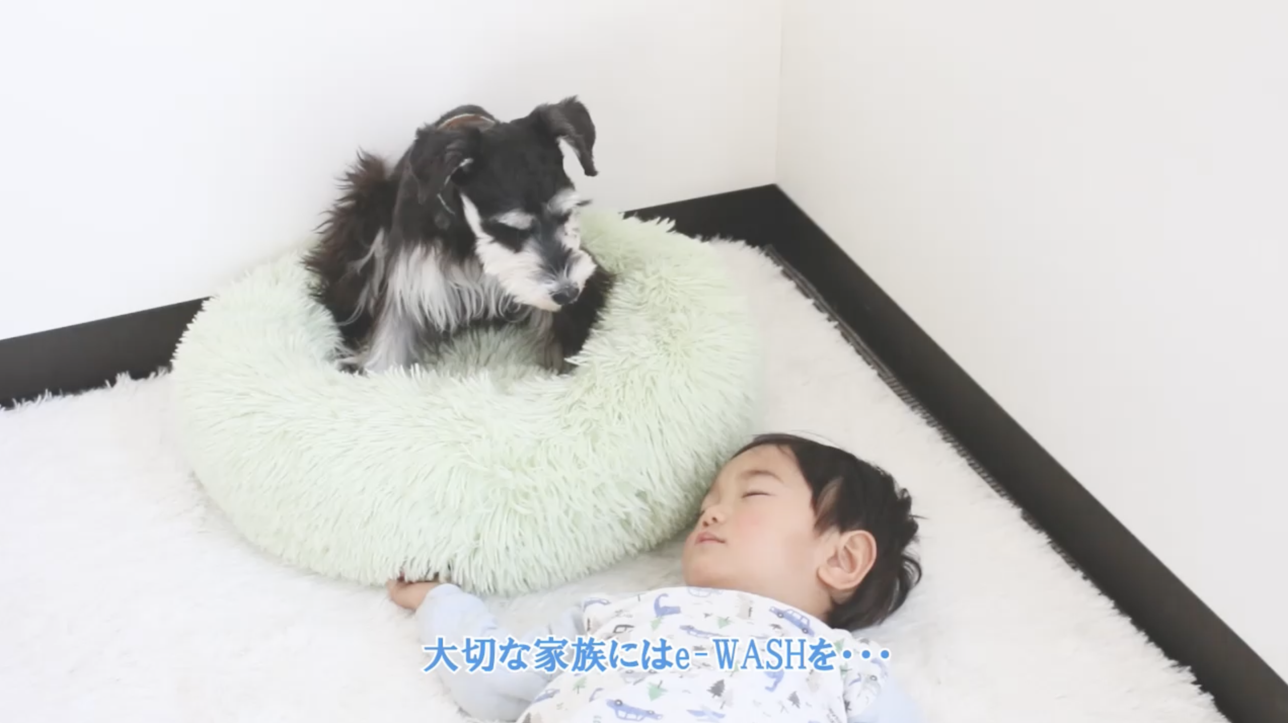 Amazon.co.jp: 【 e-WASH 】おうちまるごと大掃除！ 時短で簡単キレイ