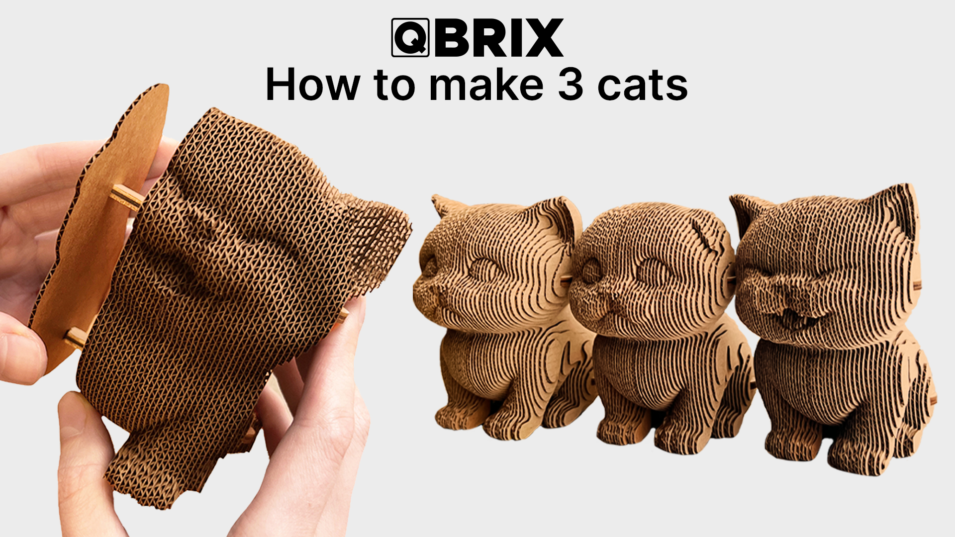 Amazon.com: QBRIX 3 Cats 3D Puzzles for Adults, 3D Model Kit for