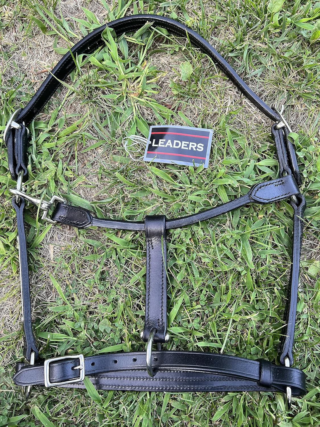 Leaders Leather Halter for Horses with Customized Engraved Name Plate Option Halter for Horse Black/Silver
