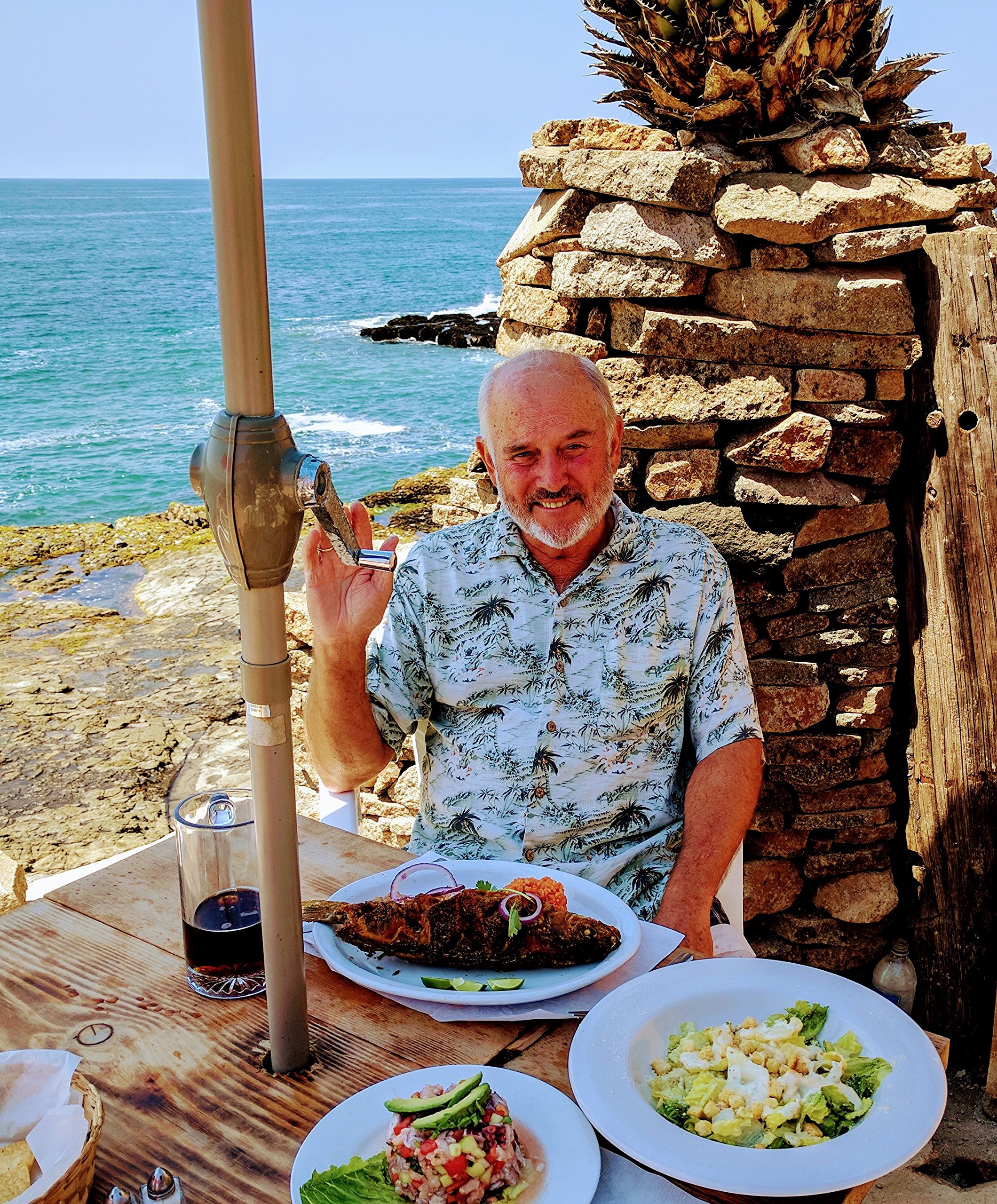 2017-18 Gringo's Guide to Rosarito Beach. La MIsion, Valle de Guadalupe, Ensenada.: Everything you need to know to make a successful trip to northern Baja. ... out of it. (Northern Baja Guide Book 2)