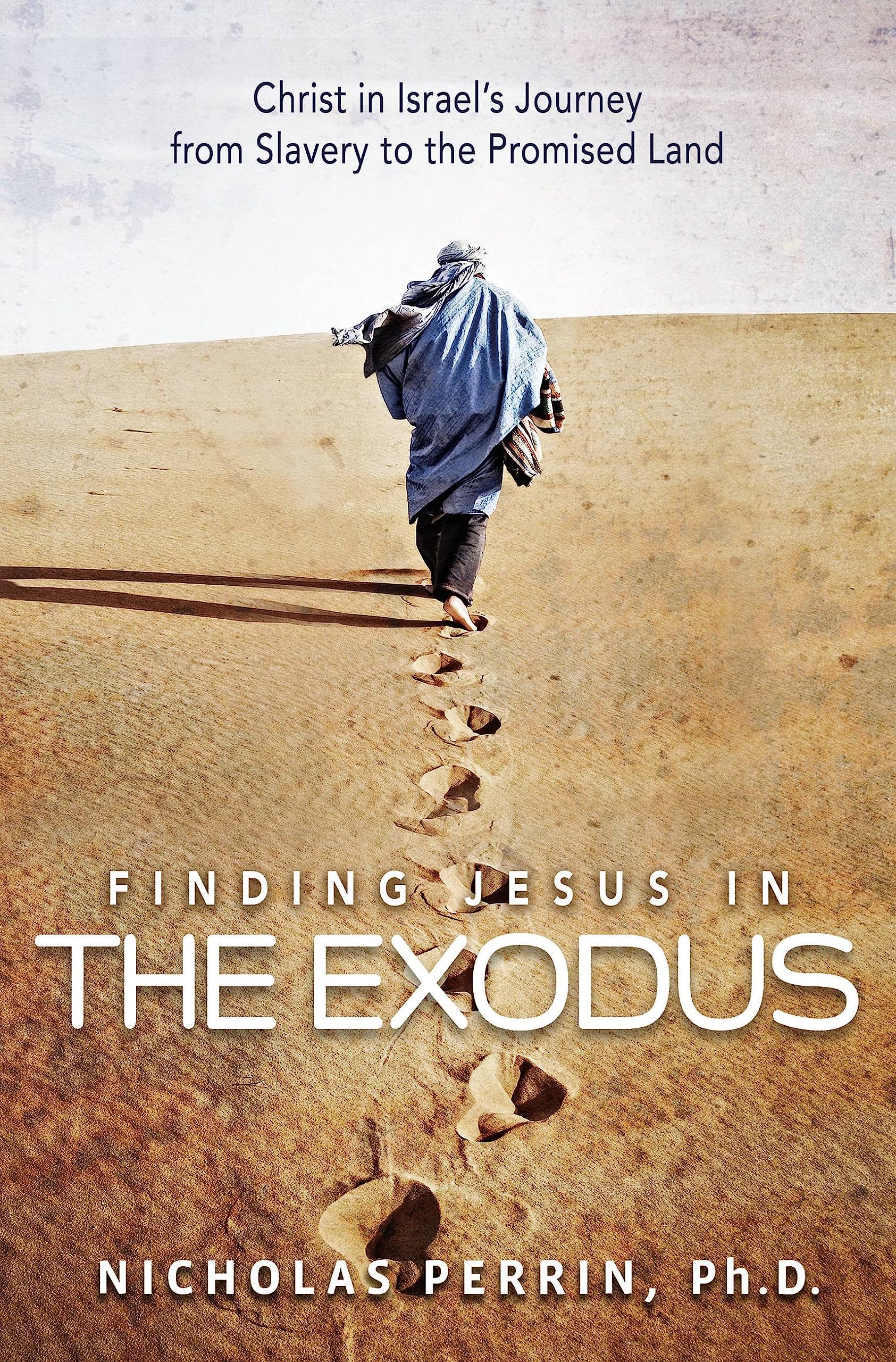 Buy Finding Jesus in the Exodus — BookShops.in