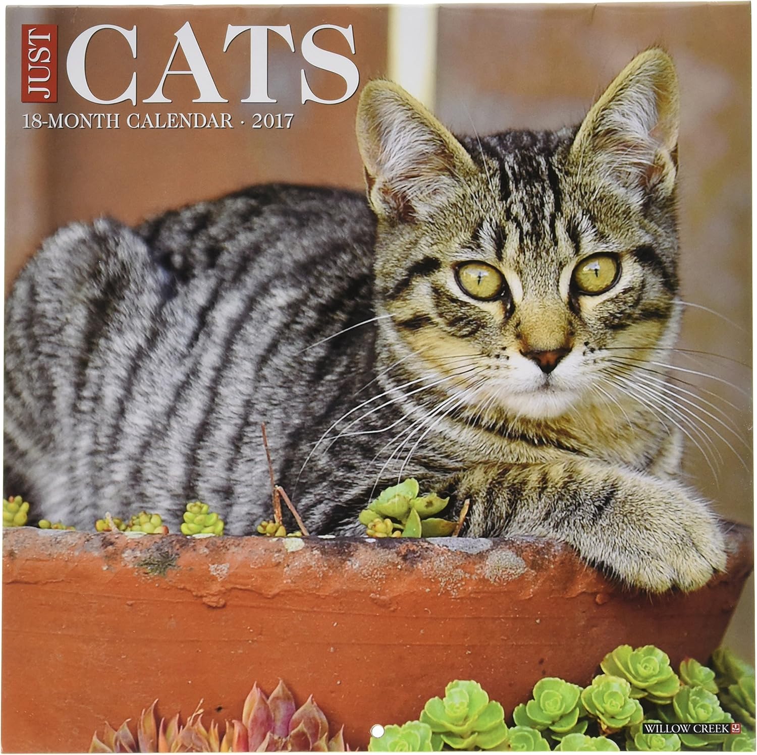 Cats 2017 Wall Calendar – BigaMart