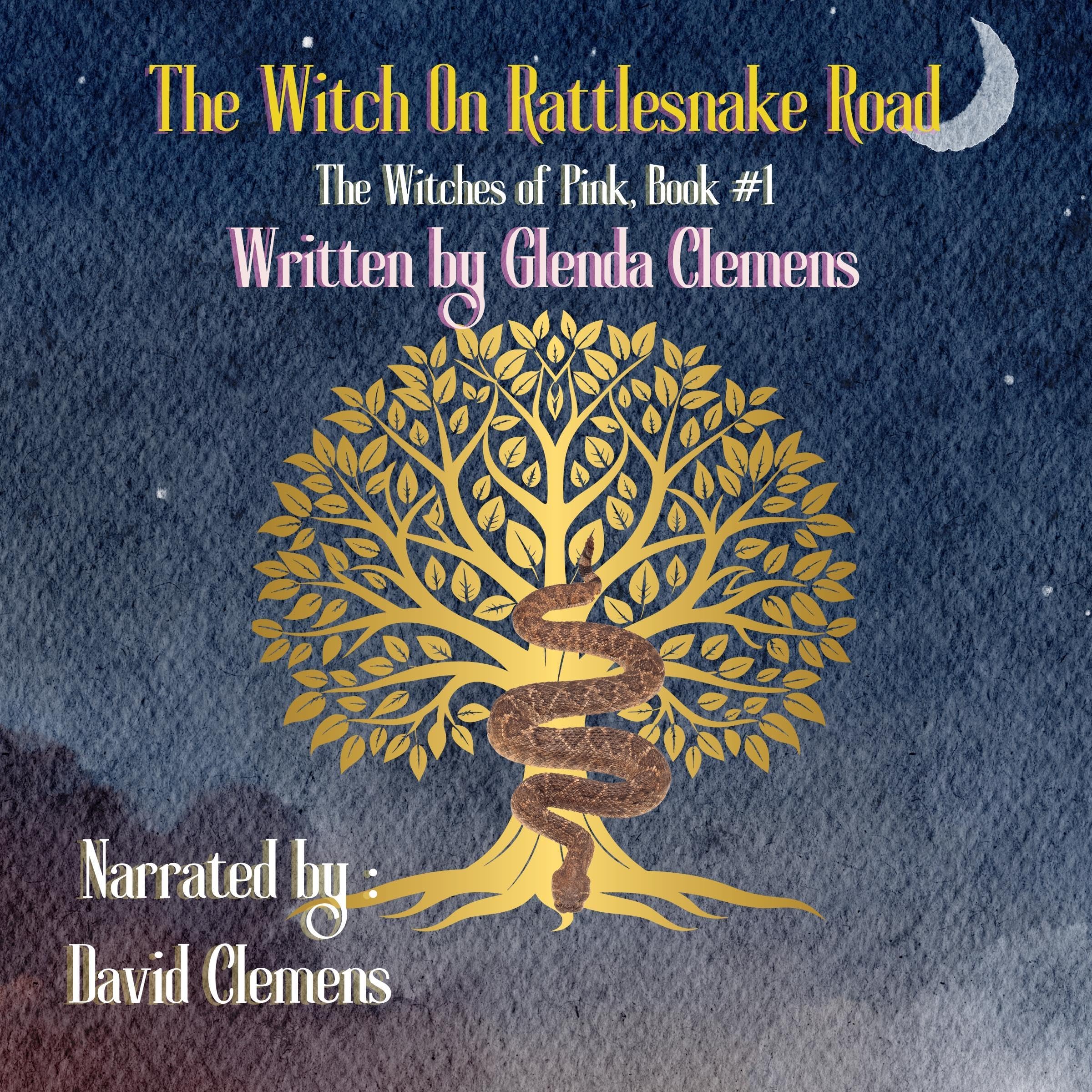 Cover art for The Witch on Rattlesnake Road