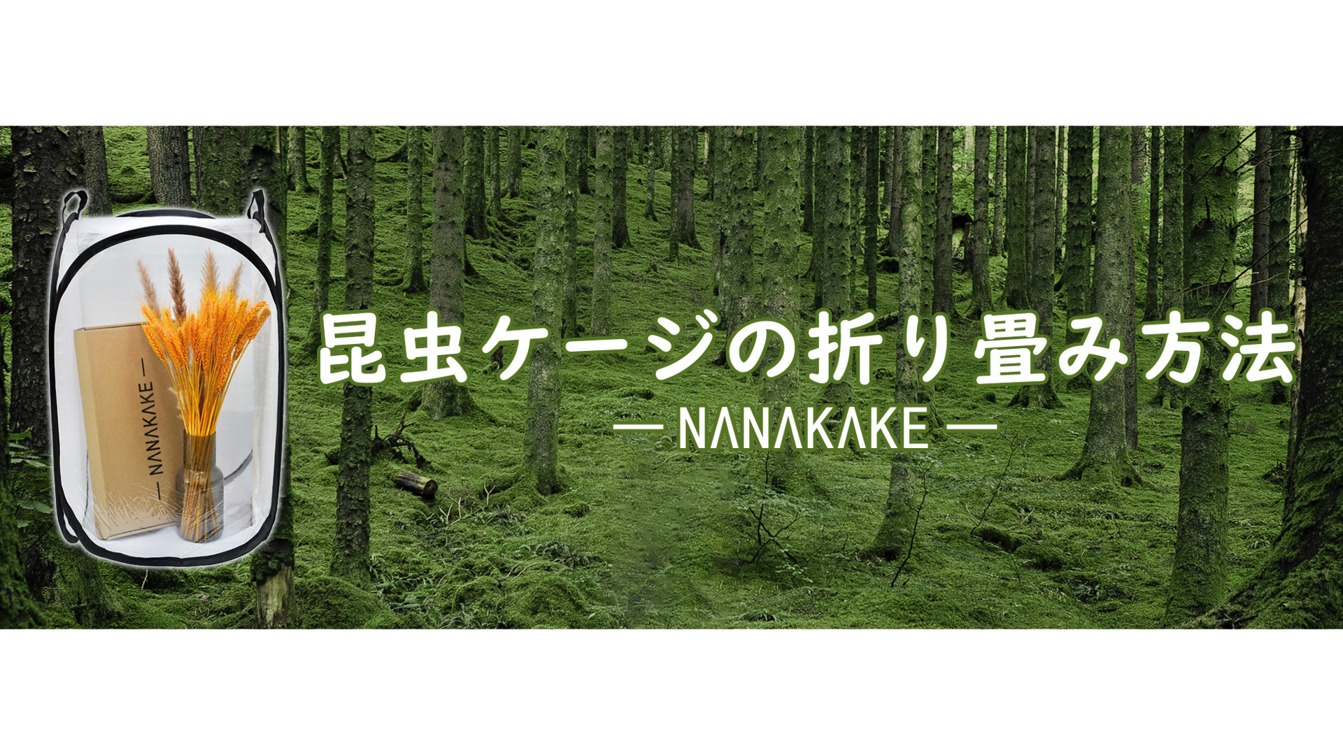 Amazon | Nanakake 昆虫ケージ 昆虫飼育箱 虫かご 折り畳み 育ケース