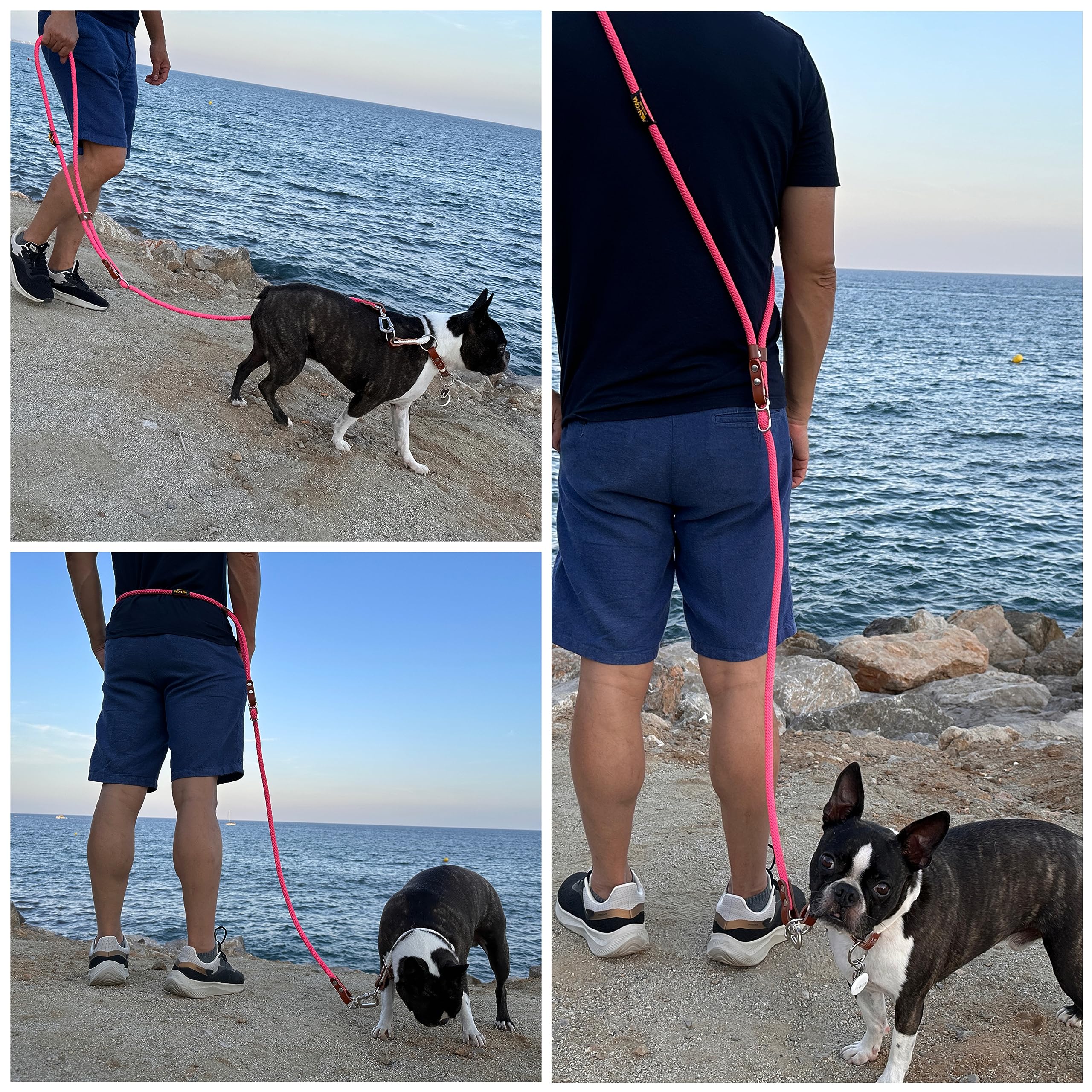 Laisse pour Chien, Mains Libres, Réglable, Fabriquée en Espagne, pour Petits, Moyens et Grands Chiens. Rose & Cognac.