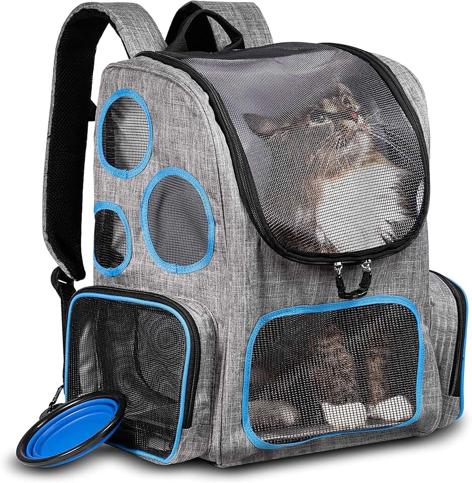 backpack for dogs to wear
