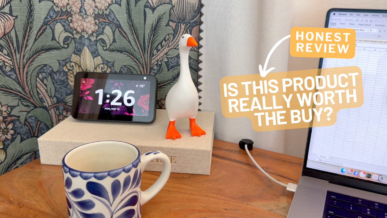 Why This Little Desk Goose Is a WFH Must-Have!