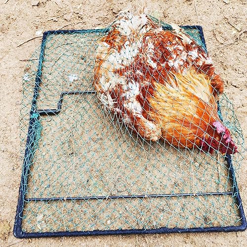 Miniatura 3 de Trampa para pájaros, jaula de codorniz de paloma, control de animales vivos, trampas de pollo estornino de primavera para atrapar