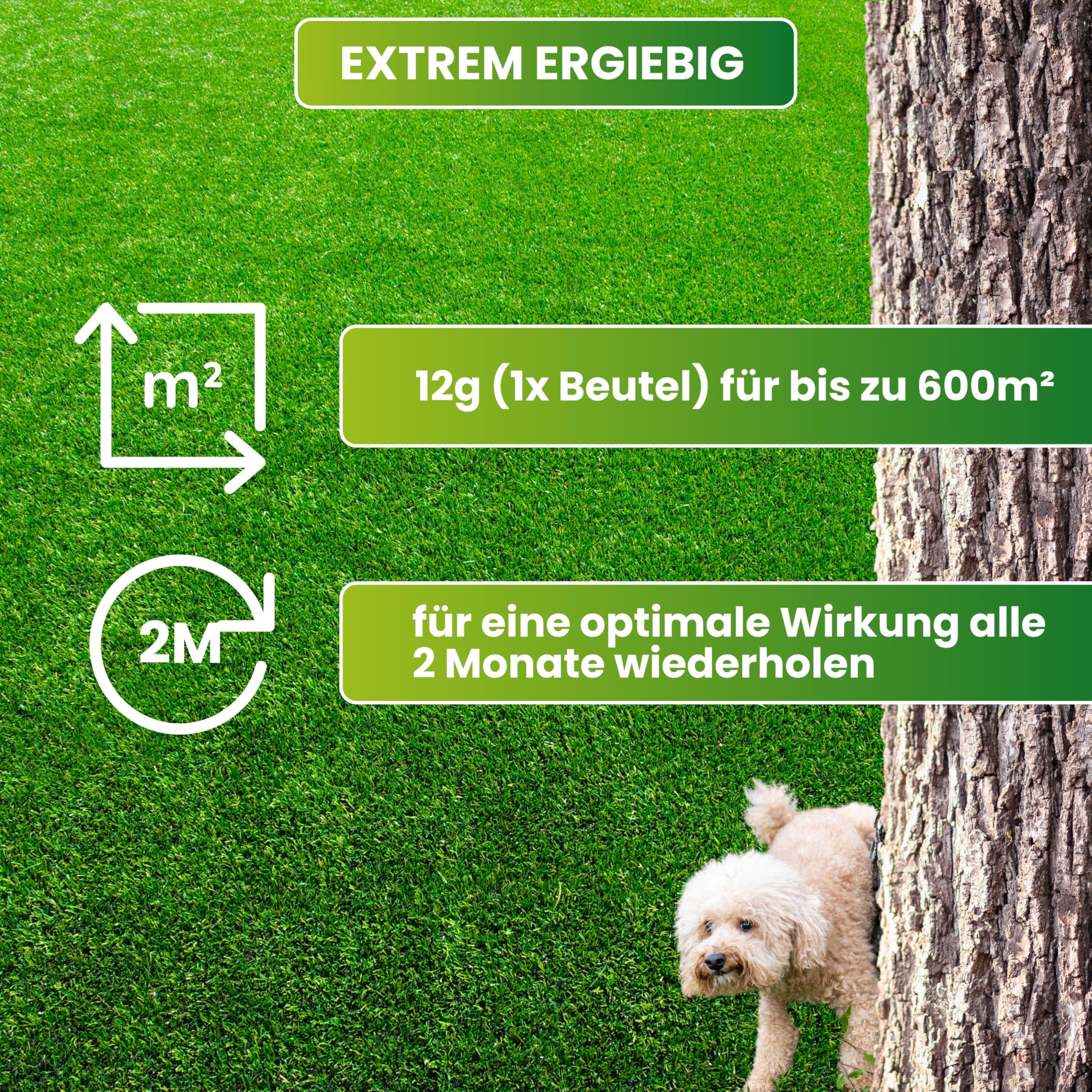 Greenyp Neutralizer - Protegge il prato dalle macchie di urina di cane I Neutralizza l'urina grazie a microrganismi efficaci I 100% attivo organico per il terreno del prato I Tanica con 2x 12g per