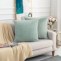 Vista 775 de UGASA - Juego de 2 fundas de almohada de terciopelo a rayas, funda decorativa para cojín con cremallera oculta para el hogar, sofá, dormitorio