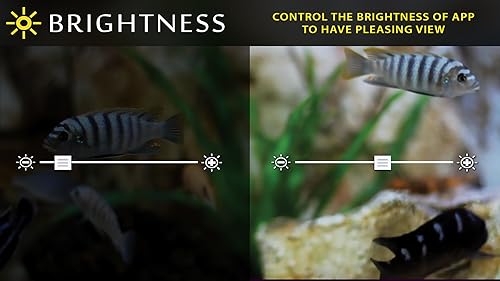 aquário de peixe branco grátis HD - decore seu quarto com um lindo aquário em sua TV HDR 4K, TV 8K e