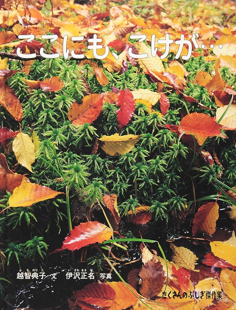 Amazon.co.jp: ここにも、こけが… (たくさんのふしぎ傑作集