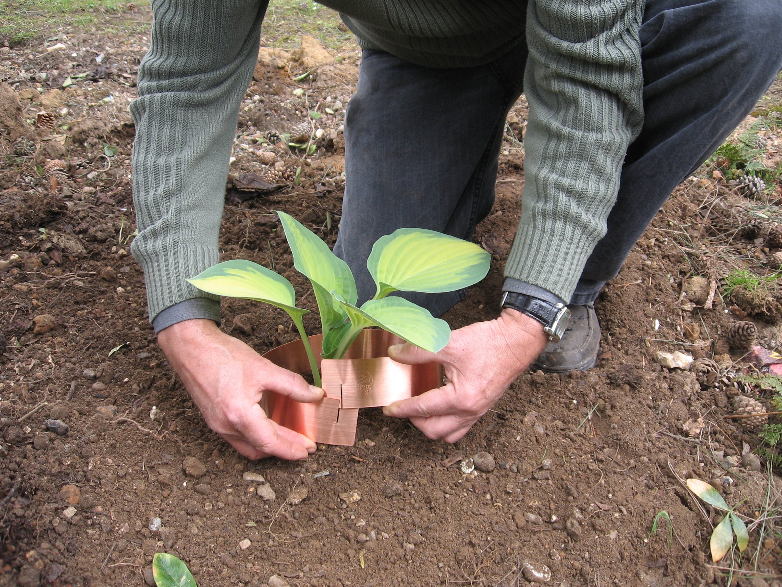 Slug Banned Starter Pack (3 large+3 standard)