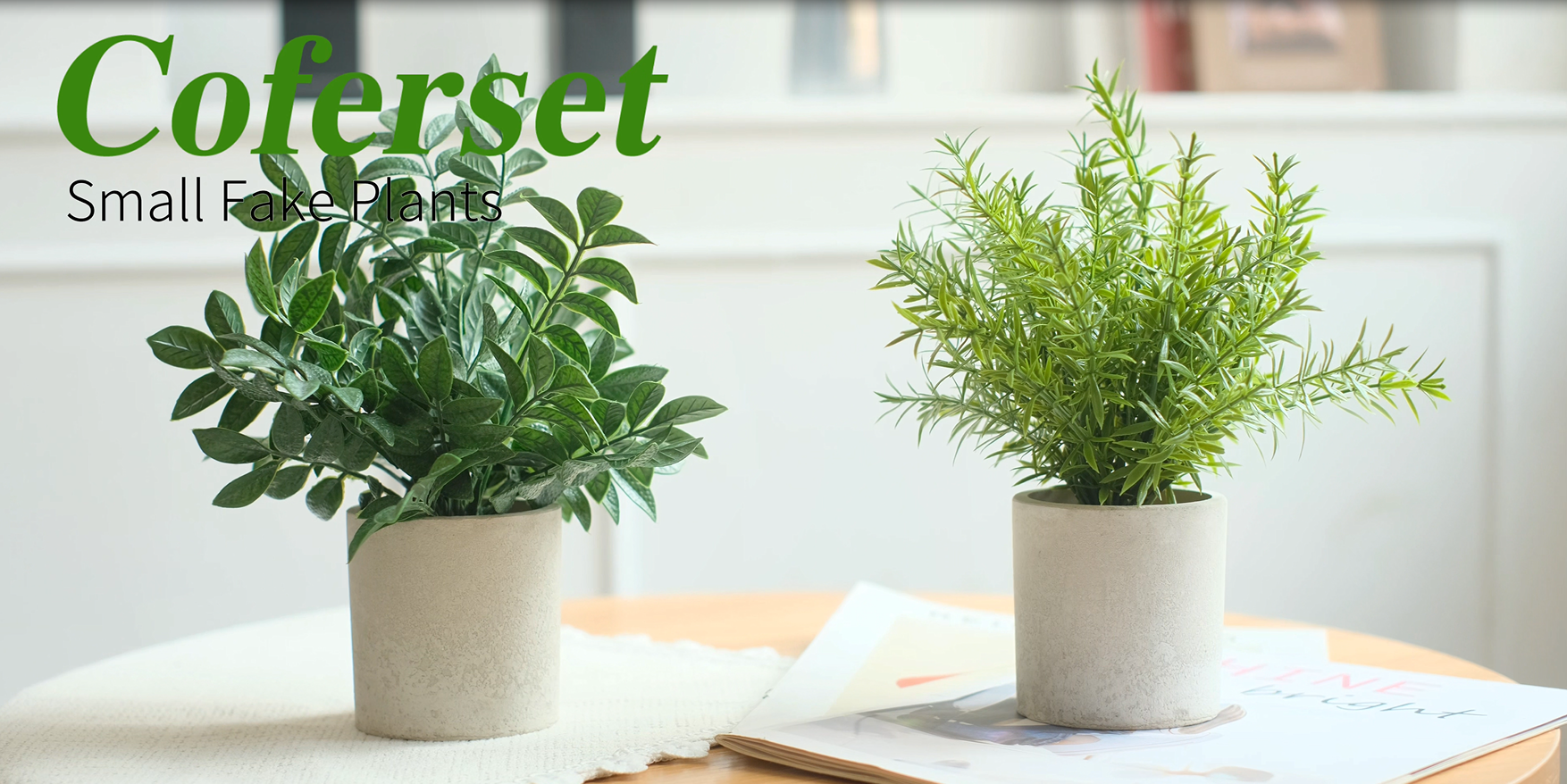 Amazon.com: Coferset 2 Pack Small Fake Plants Eucalyptus Potted Artificial  Plants for Shelf Desk Home Bathroom Farmhouse Room Coffee Table Decor (Sage  Green) : Home & Kitchen