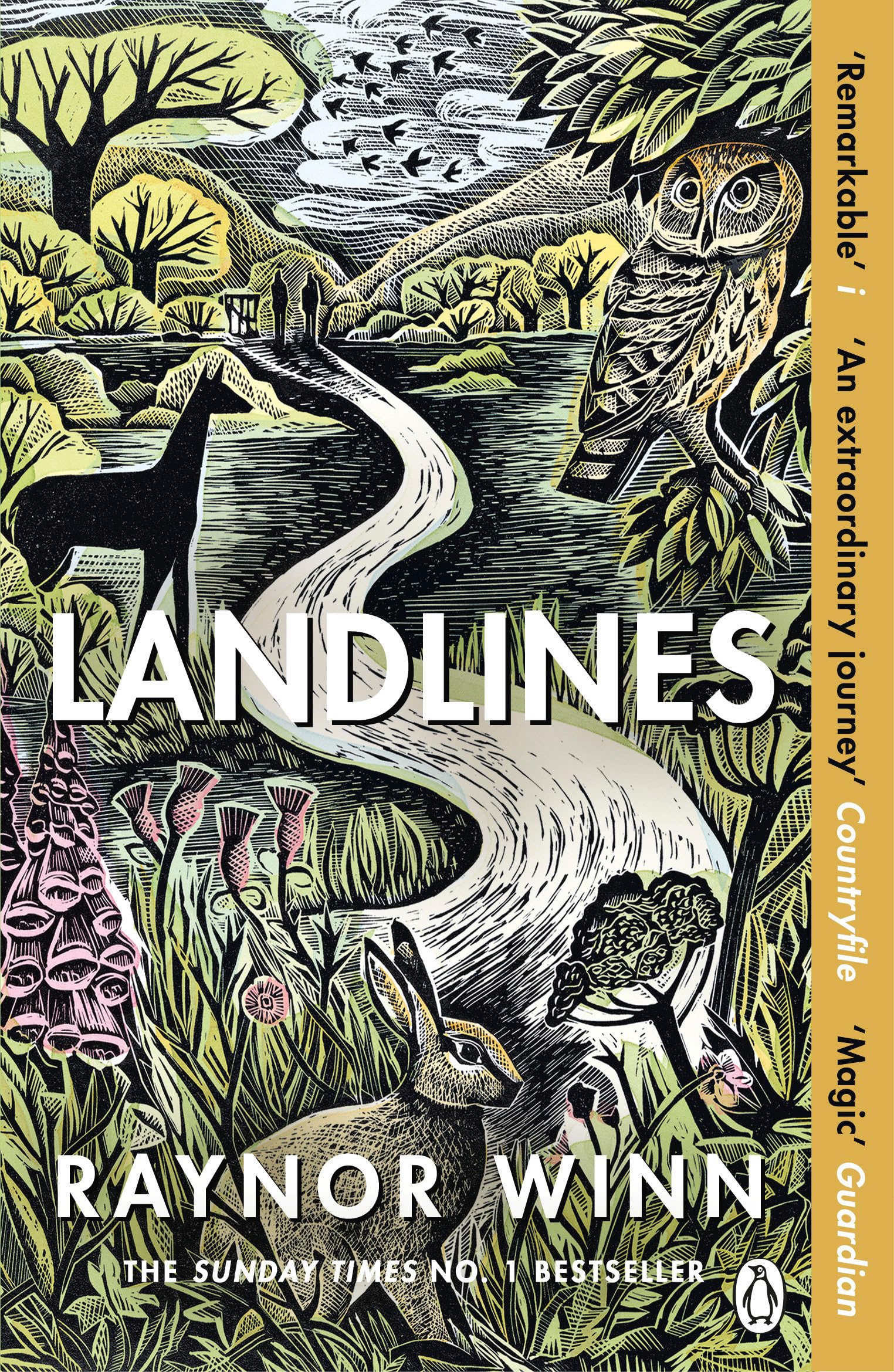 Landlines: The No 1 Sunday Times bestseller about a thousand-mile journey across Britain from the author of The Salt Path
