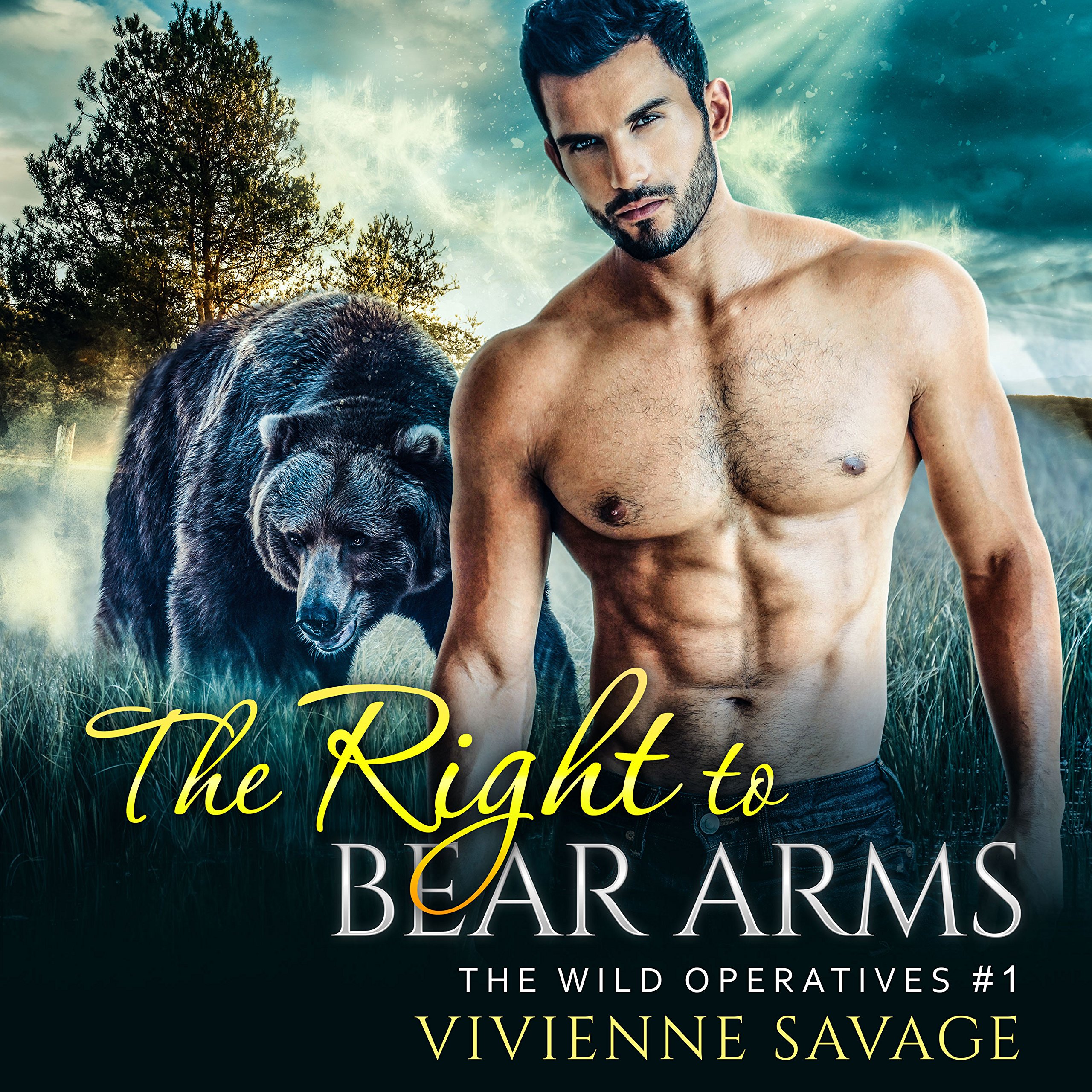 Cover art for The Right to Bear Arms