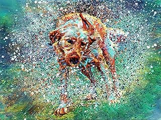 Yellow Fox Red Lab Dog Wall Art Print | Labrador Dog Memorial | Abstract Dog Portrait | A4 Hand-Signed Print by Artist Oscar Jetson | Unframed | Ideal Gift for Dog Lovers