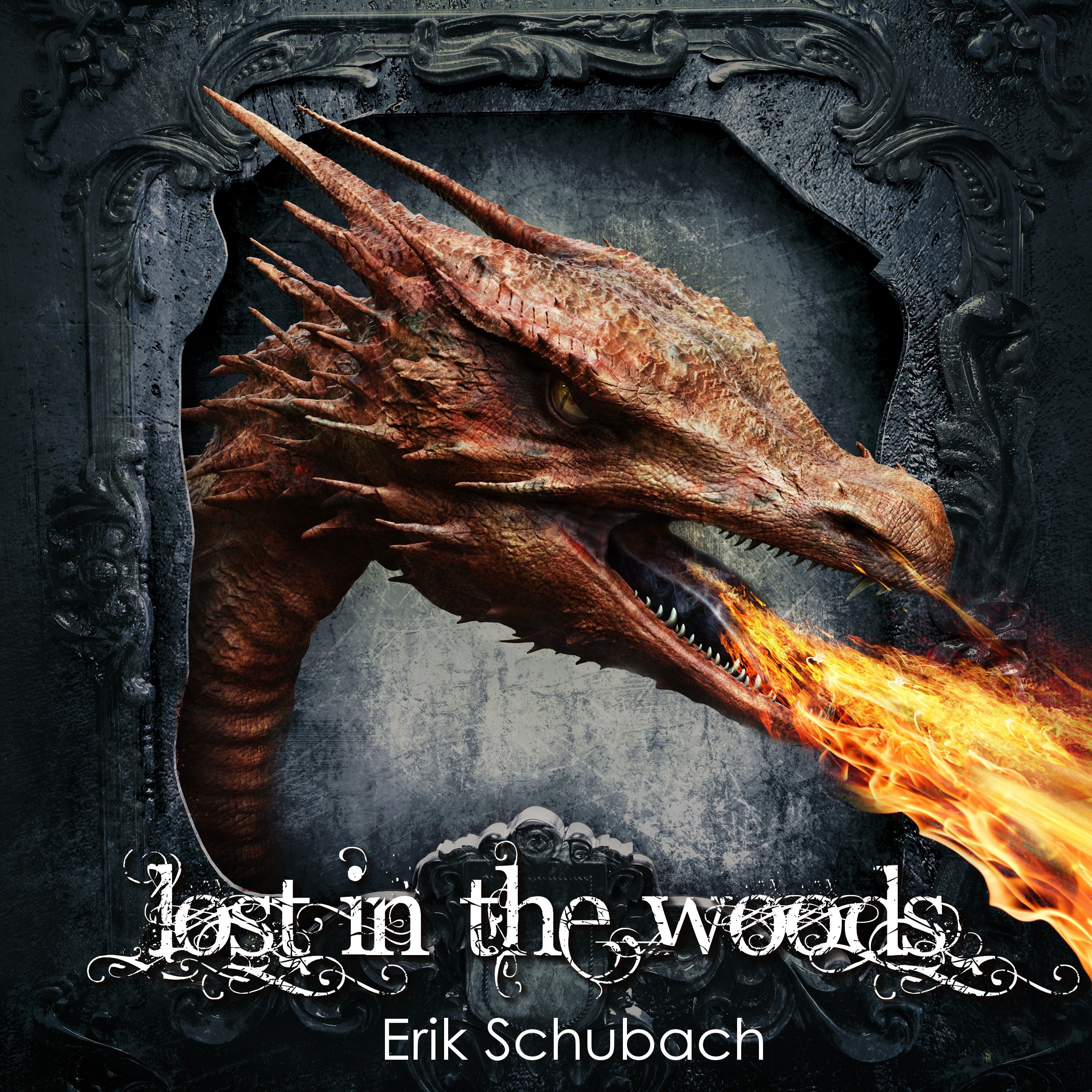 Cover art for Lost in the Woods