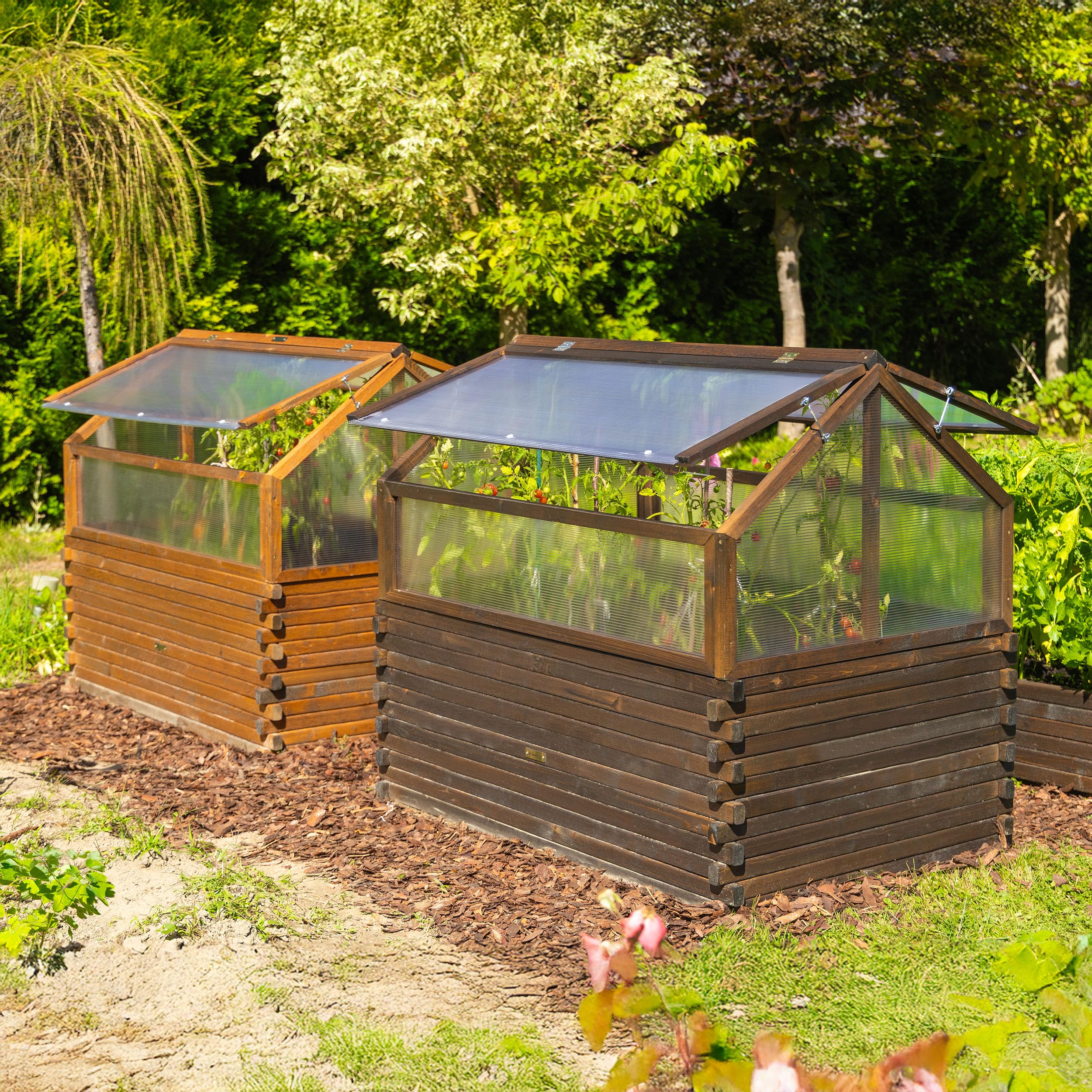 Greenspot - Mini Szklarnia, Inspekt - 120 x 80 x 60 cm, z Drewna i Tworzywa - do Ustawienia na Ziemi lub jako Osłona na Grządkę Podwyższoną - na Zioła, Warzywa, Kwiaty - Timber Palisander