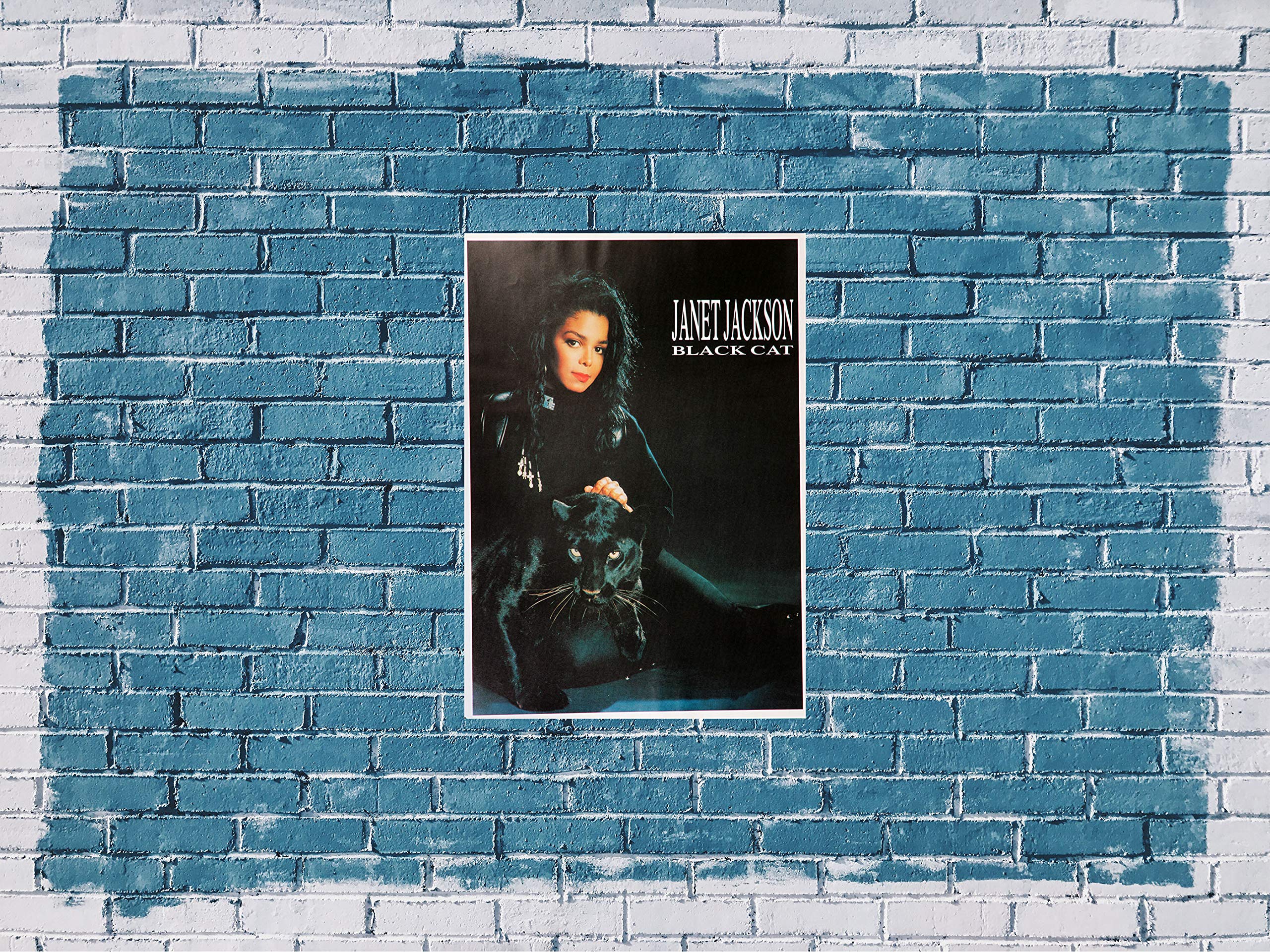 Premium Poster/Plakat | DIN A1 | Wanddeko | Live Konzert Veranstaltung » Janet Jackson - Black Cat, 1989 «