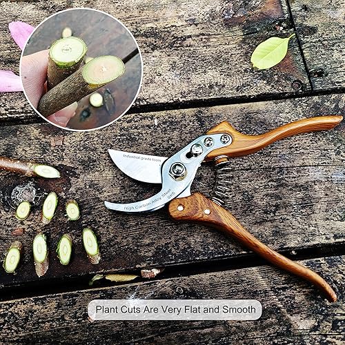 Miniatura 5 de TONMA Fabricado en Japón Tijeras de podar resistentes de 8 pulgadas, tijeras de jardín de yunque de 8 pulgadas, tijeras de jardinería japonesas,