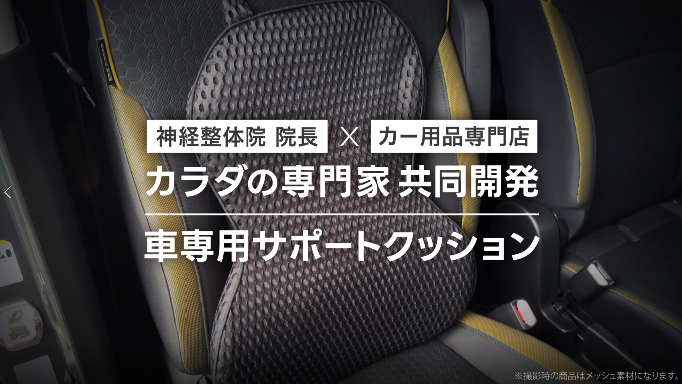 Relieve.Amis ランバーサポート 腰と背中をトータルサポート クッション