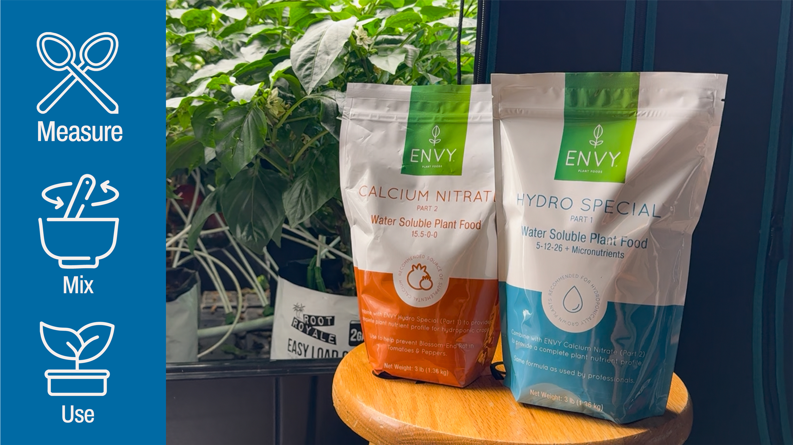 Amazon.com : ENVY Hydro Special, Veggie and Herb Combo Kit, 6