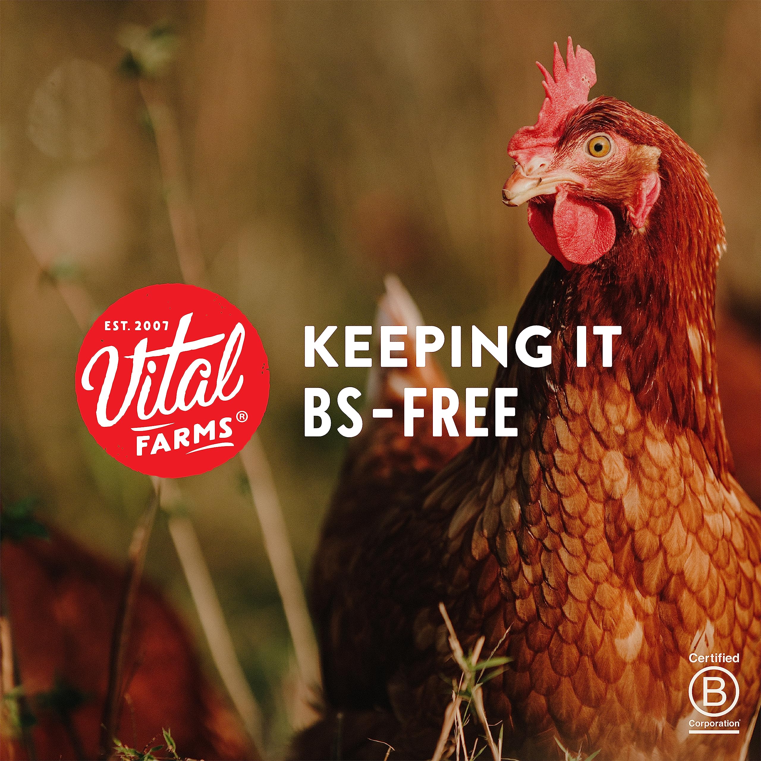 Vital Farms Large Grade A Eggs 12 Count — view 5