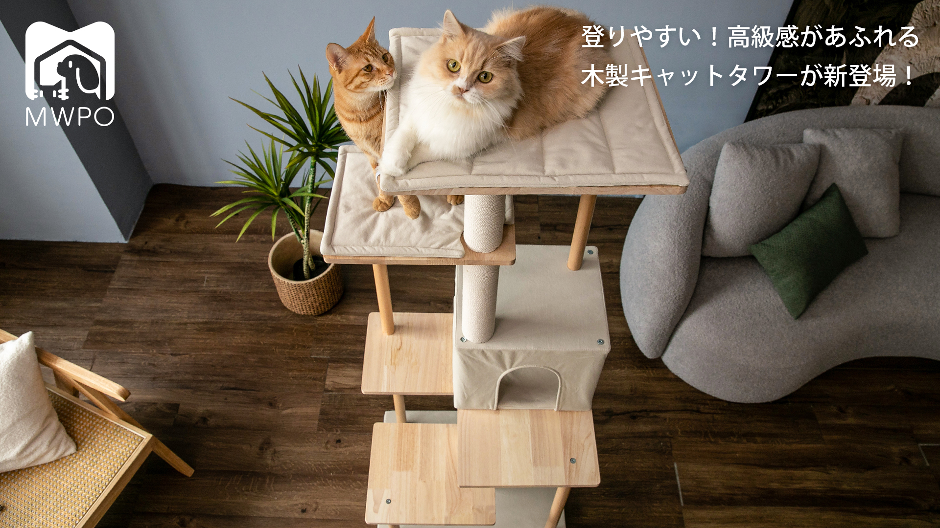 Amazon | Mwpo キャットタワー 木製 木目調キャットタワー 新素材 毛