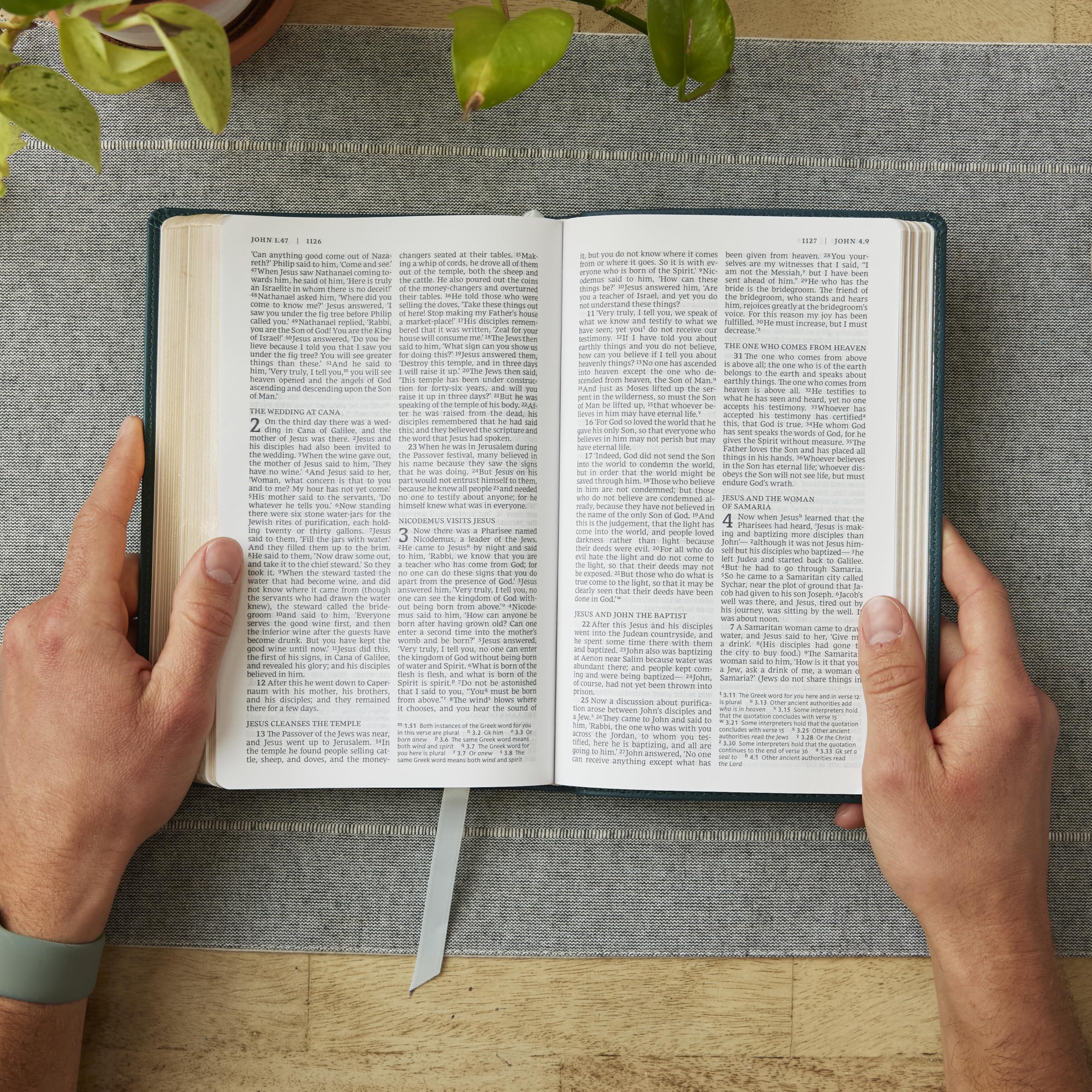 Holy Bible: New Revised Standard Version, Catholic Bible, Standard Personal Size, Red, Leathersoft, Comfort Print