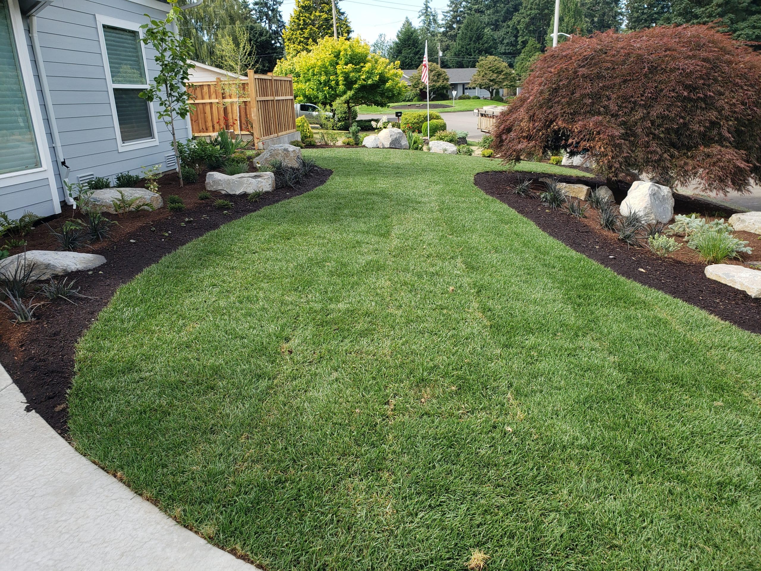 Mexican Grass Seed (13000 Seeds) (B0D117TSKM) Amazon Price History, Amazon Price Tracker