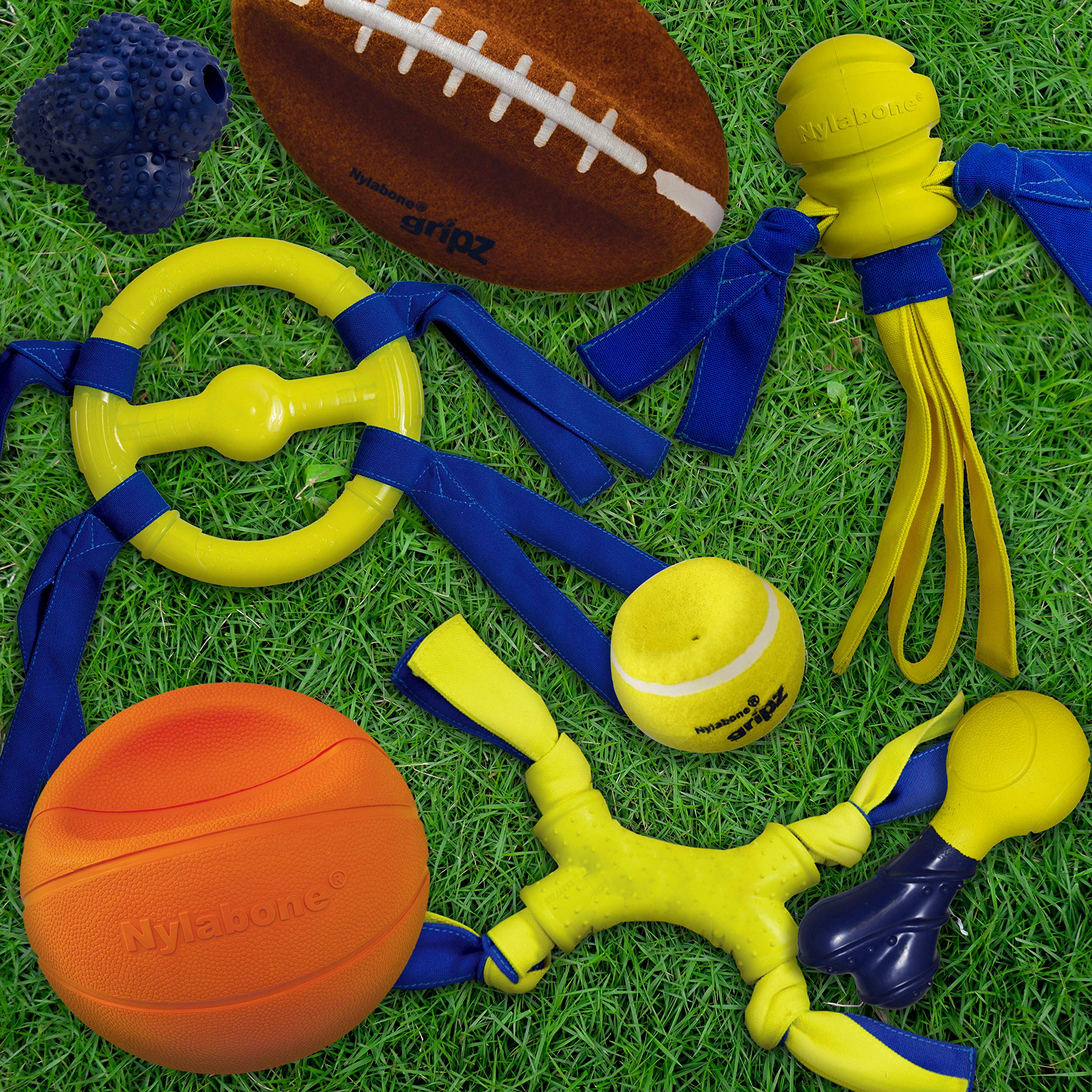 Nylabone Power Play - Juguetes interactivos para Perros, Juguetes de enriquecimiento para Perros para la Mejor Experiencia de Juego