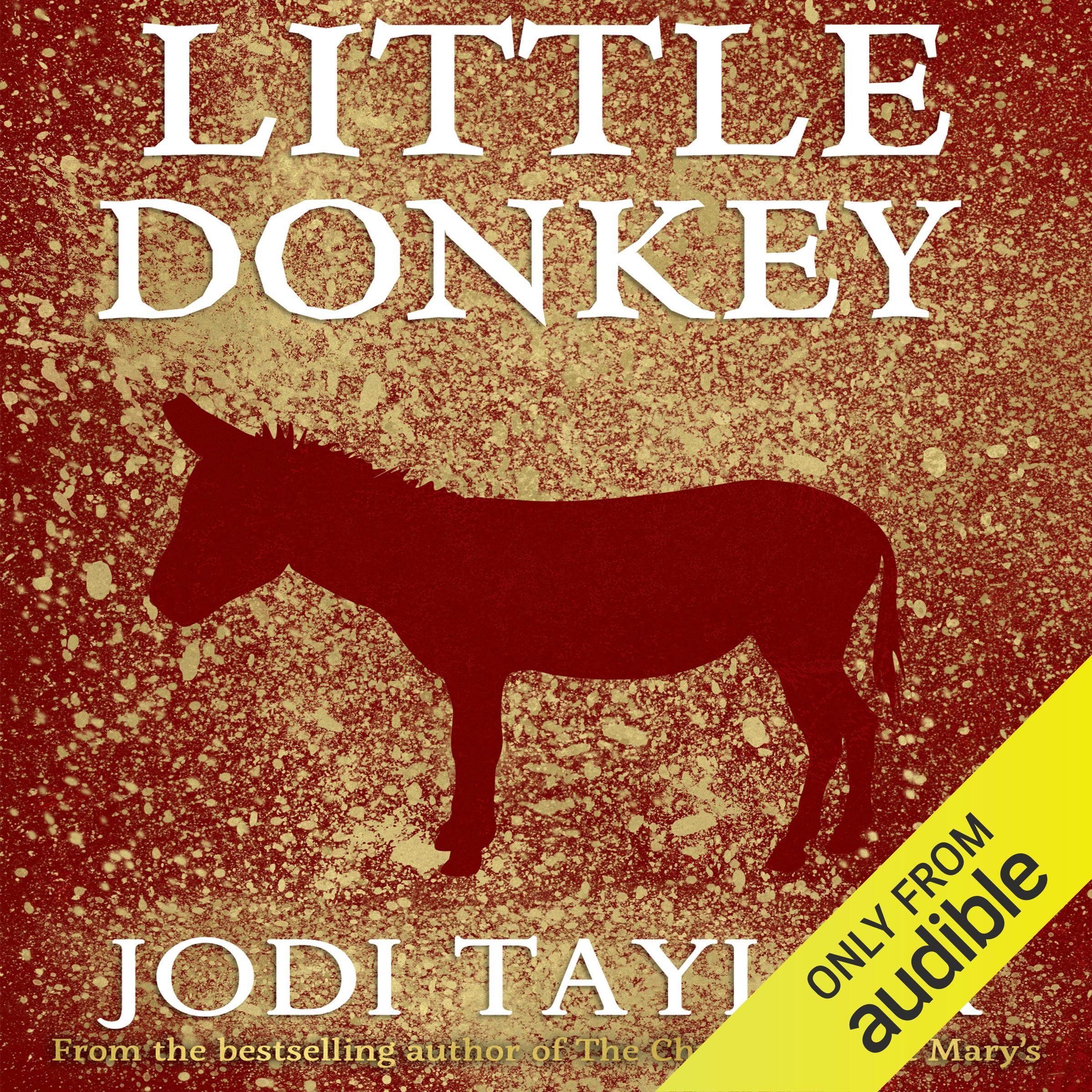 Cover art for Little Donkey