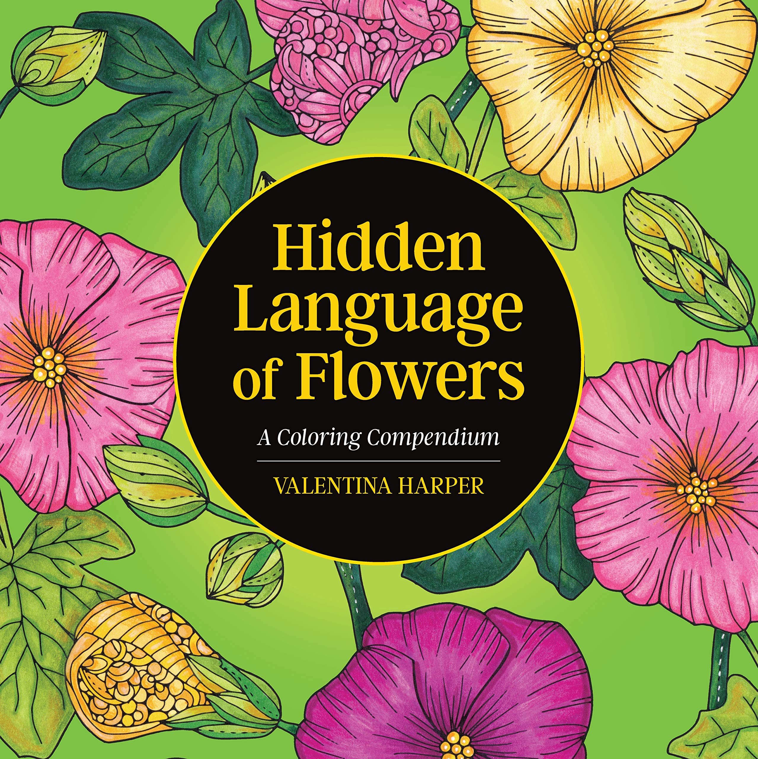 Daisy Blooms: The Secret Language They'Re Hiding - qjq020c