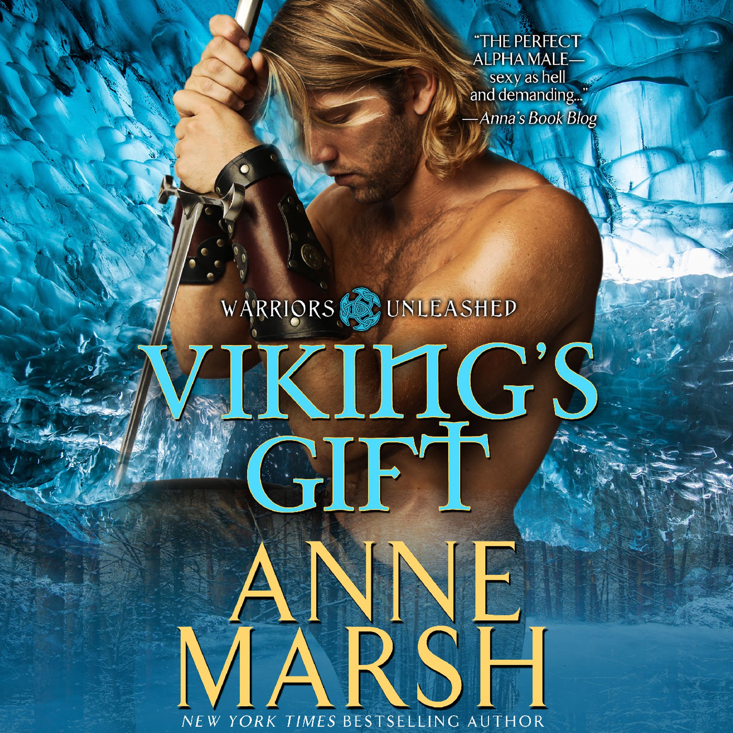 Cover art for Viking's Gift