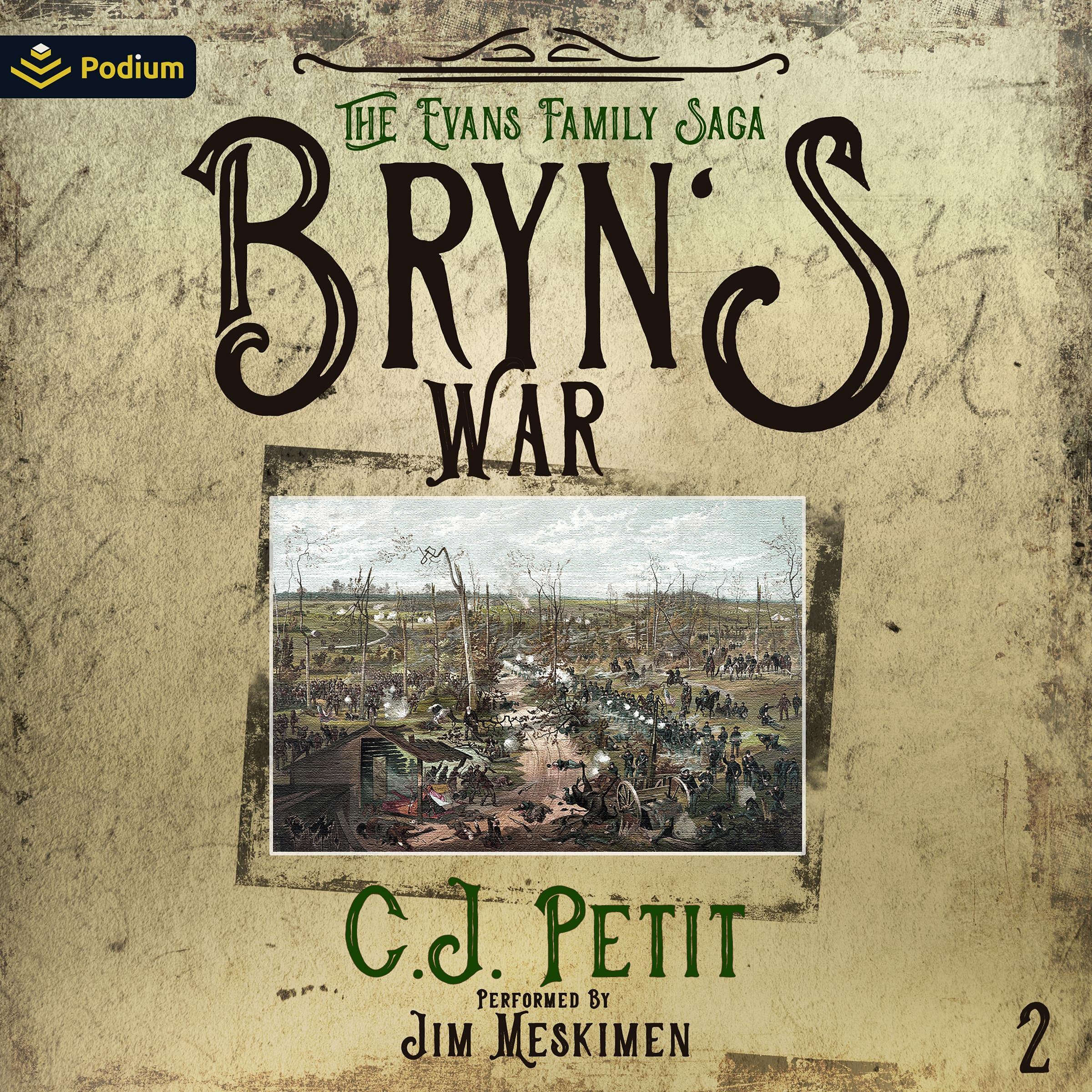 Cover art for Bryn's War