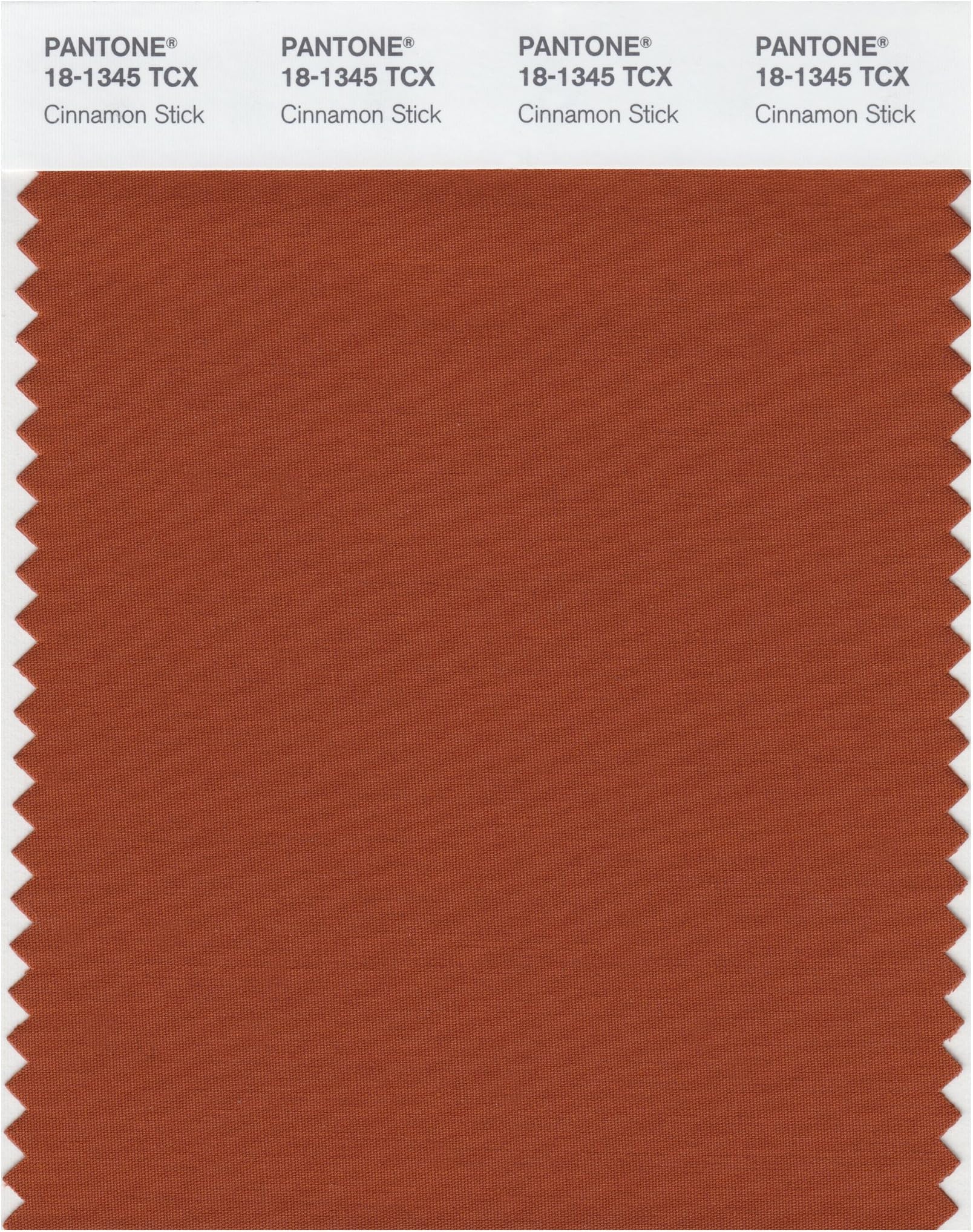 Pantone 18-1345 TCX Smart Color Swatch Card, Cinnamon Stick