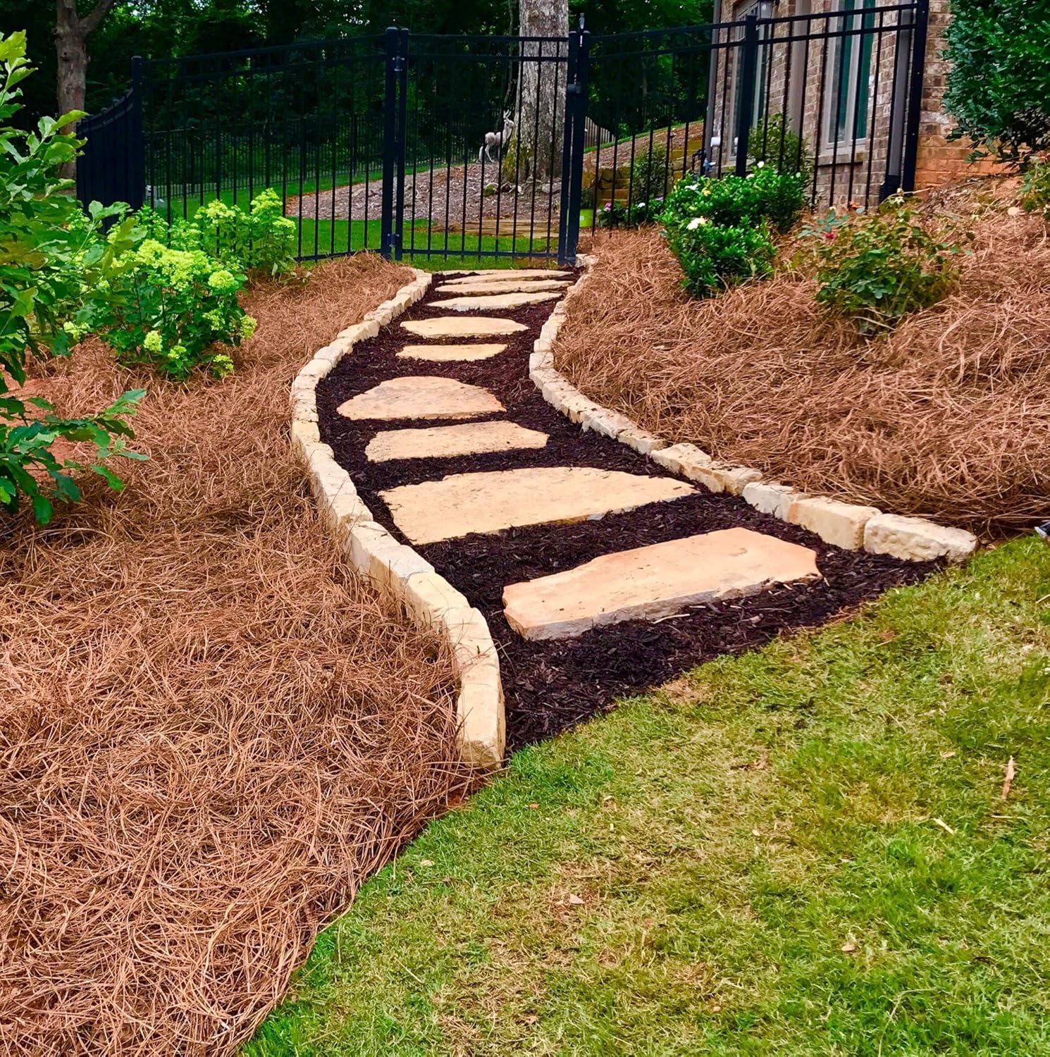 Long Needle Pine Straw Mulch - 3200 Sqft Coverage 1 Set - Premium USA Harvested PineStraw for Landscaping, Weed Control, Moisture Retention & Erosion Control - USA Pinestraw