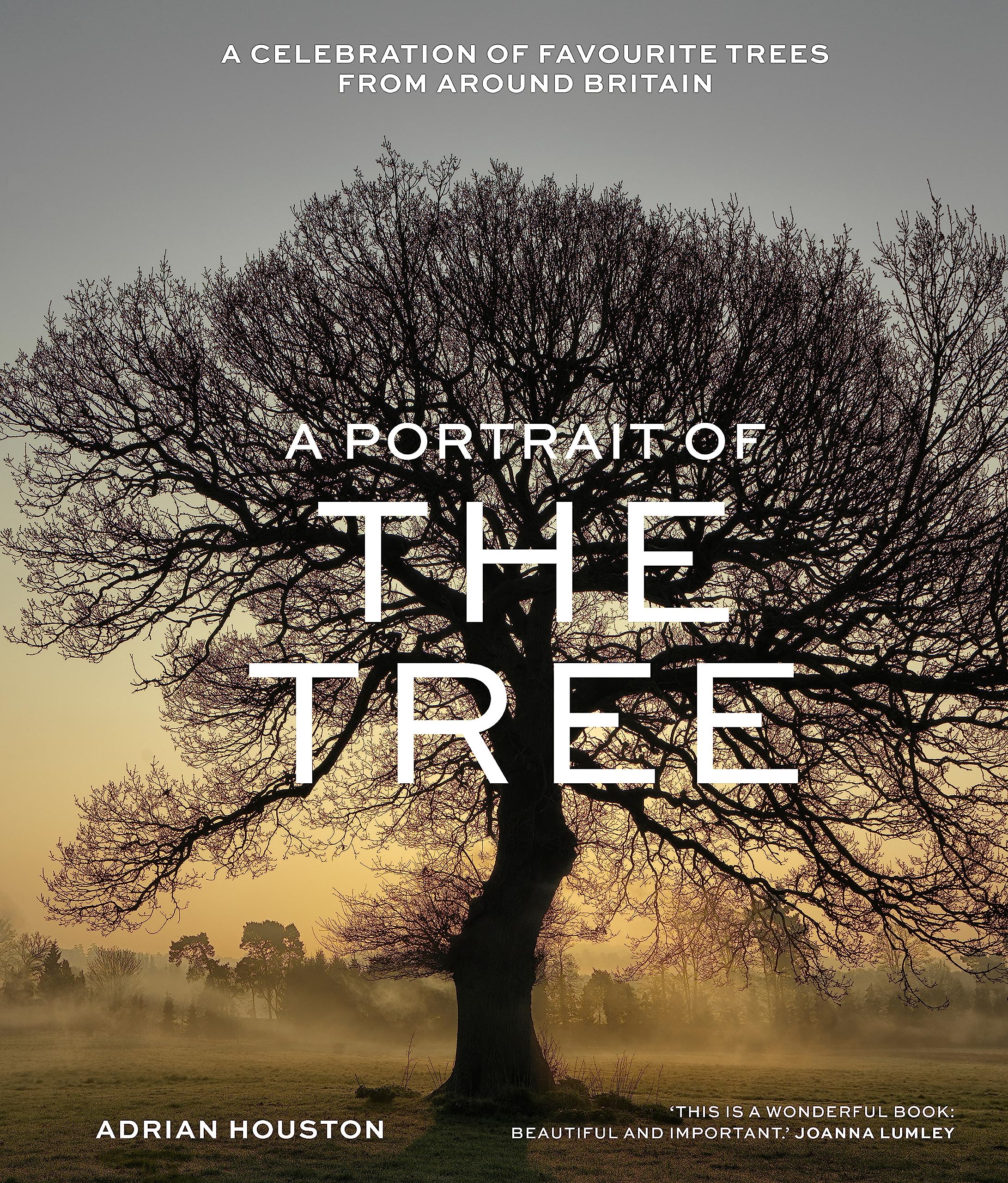 A Portrait of the Tree: A celebration of favourite trees from around Britain