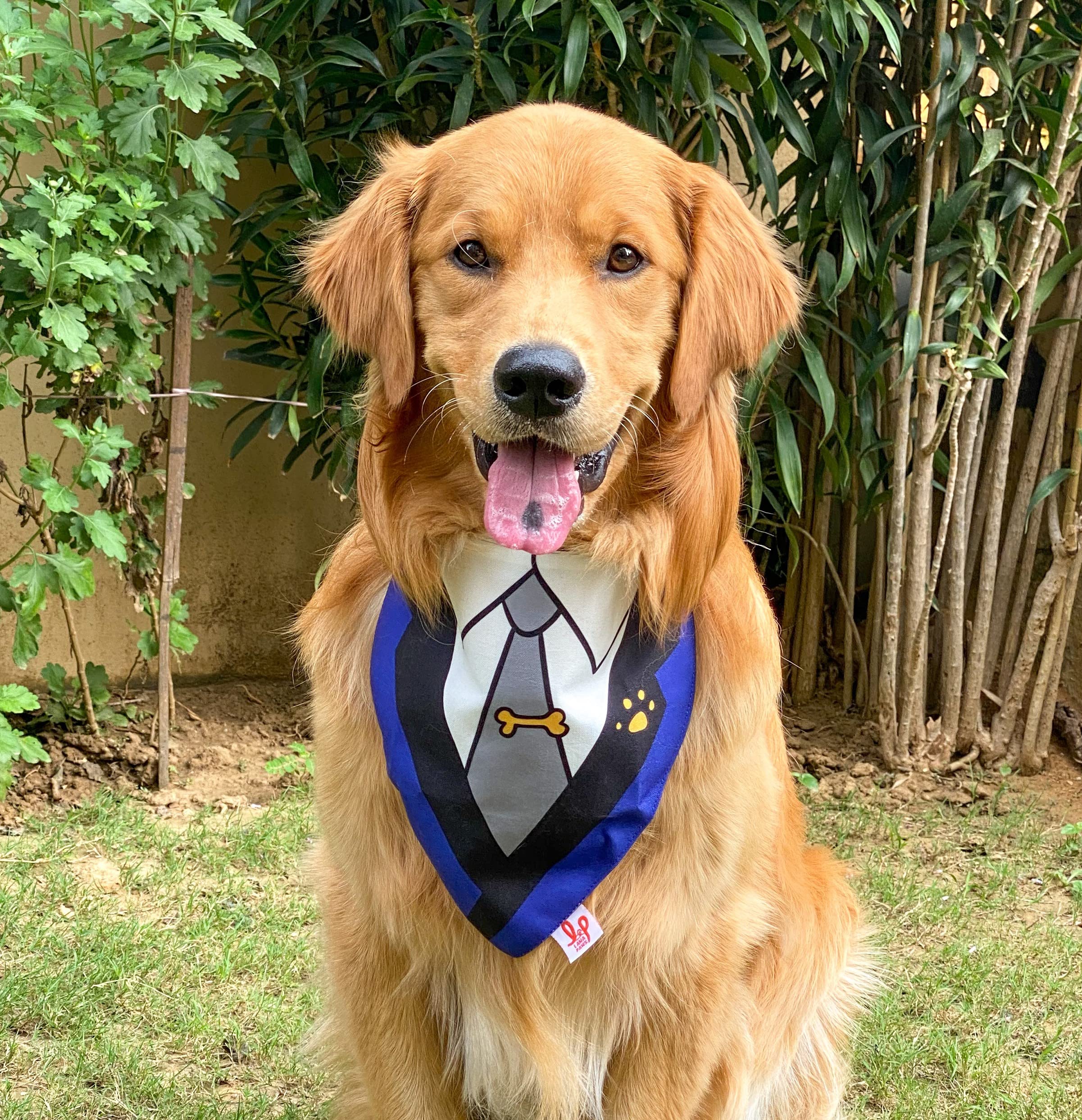 Lana Paws Gentleman Adjustable Tuxedo Dog Bandana Scarf - Blue (S-M) (B09KDG5G8P) Amazon Price History, Amazon Price Tracker